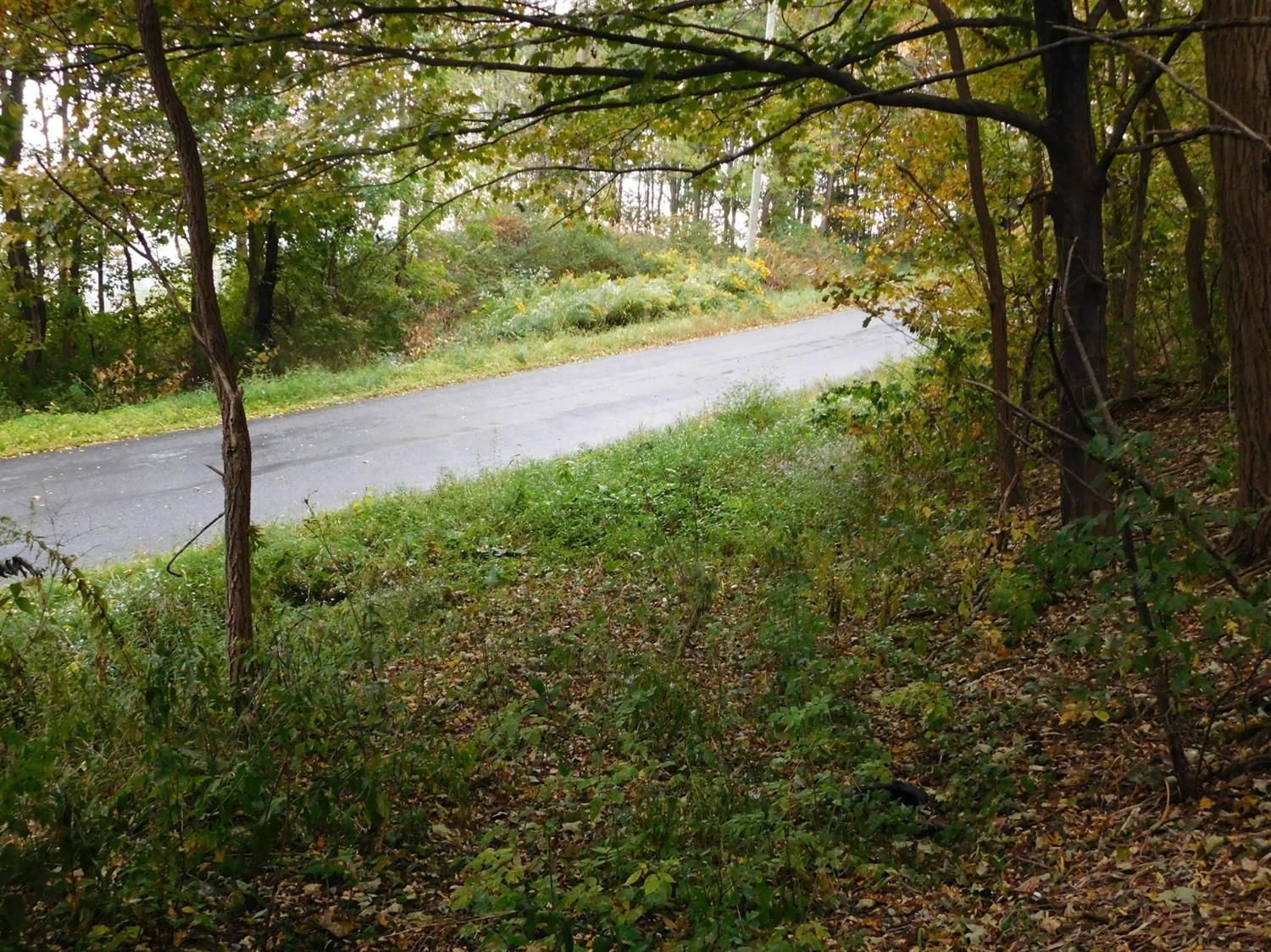 7.8 Acres, 0 Crane Hill Road, Sidney, NY 13838 Land and Farm