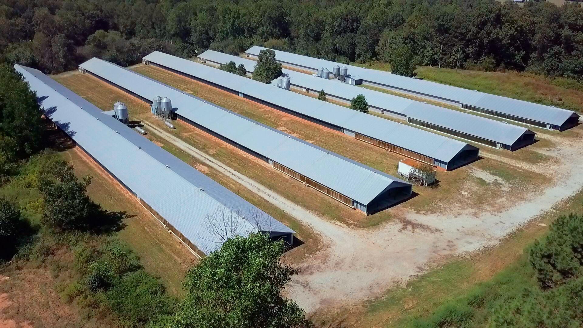 26 acres in Nicholson, GA, 30565 Land and Farm