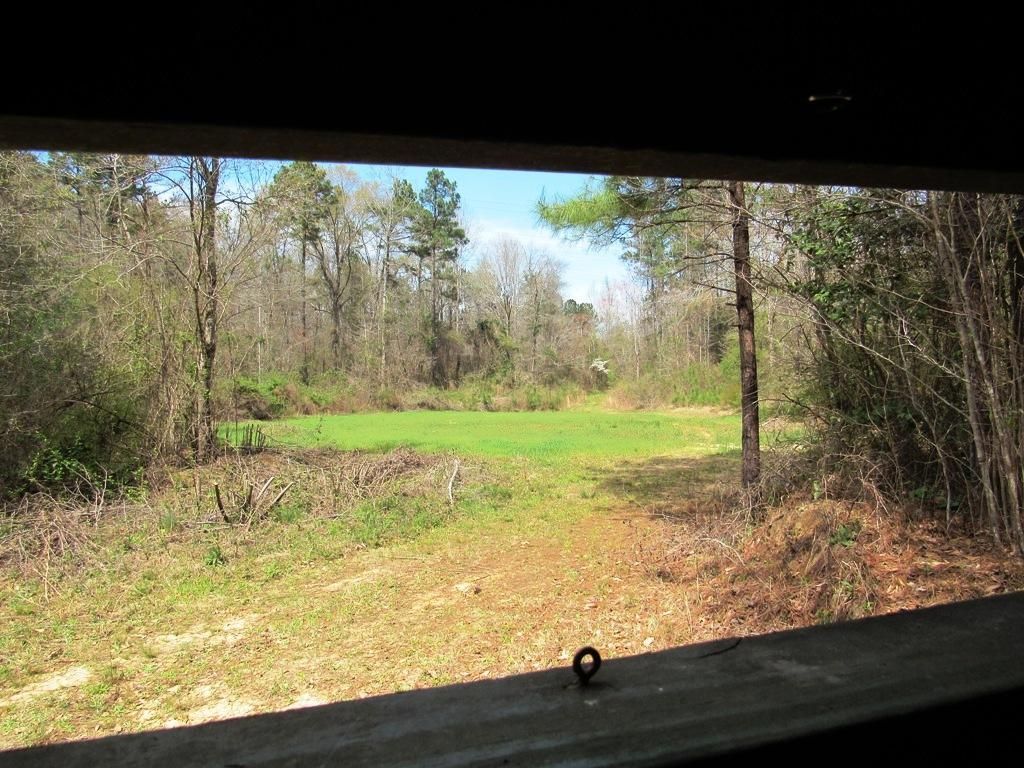 80 Acres, Autaugaville, AL Land and Farm