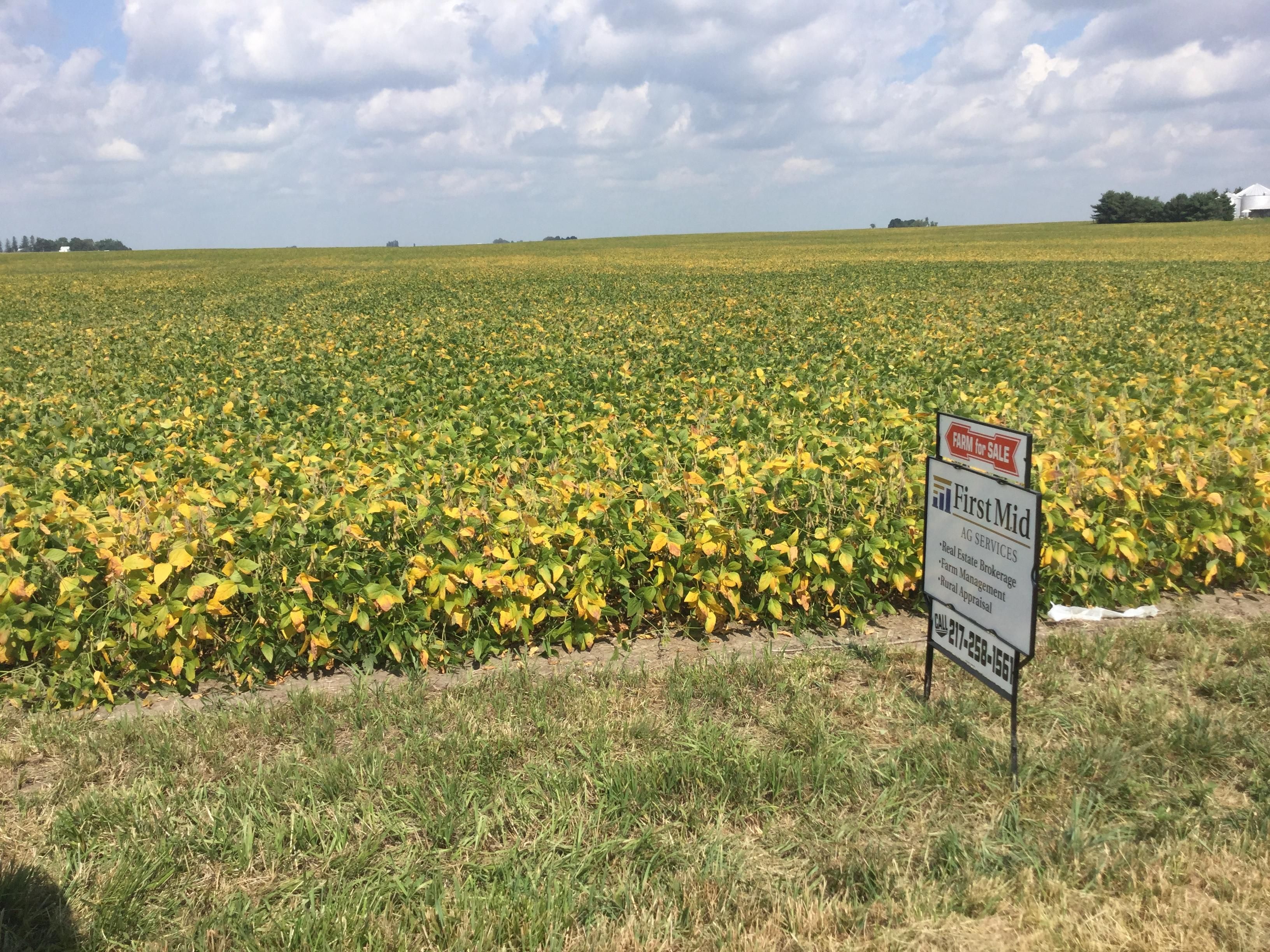 76.86 Acres, 12500 1100 North Road, Charleston, IL 61920 Land and Farm