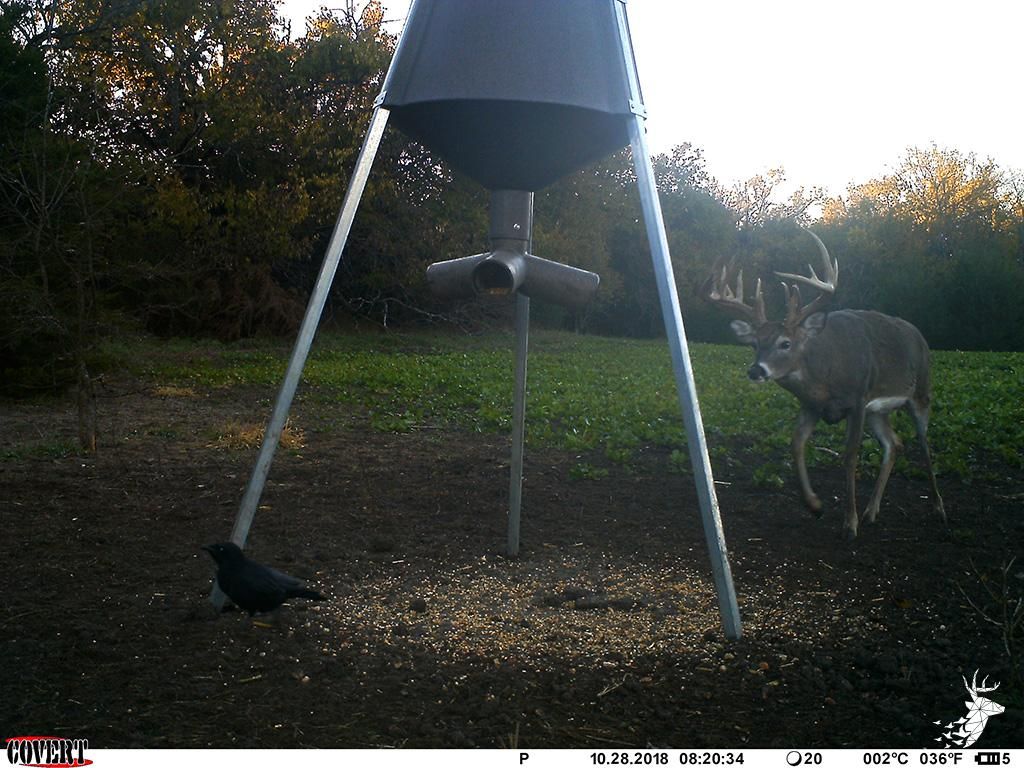 148 Acres, 00000 Sherman RD, Denison, KS 66419 Land and Farm