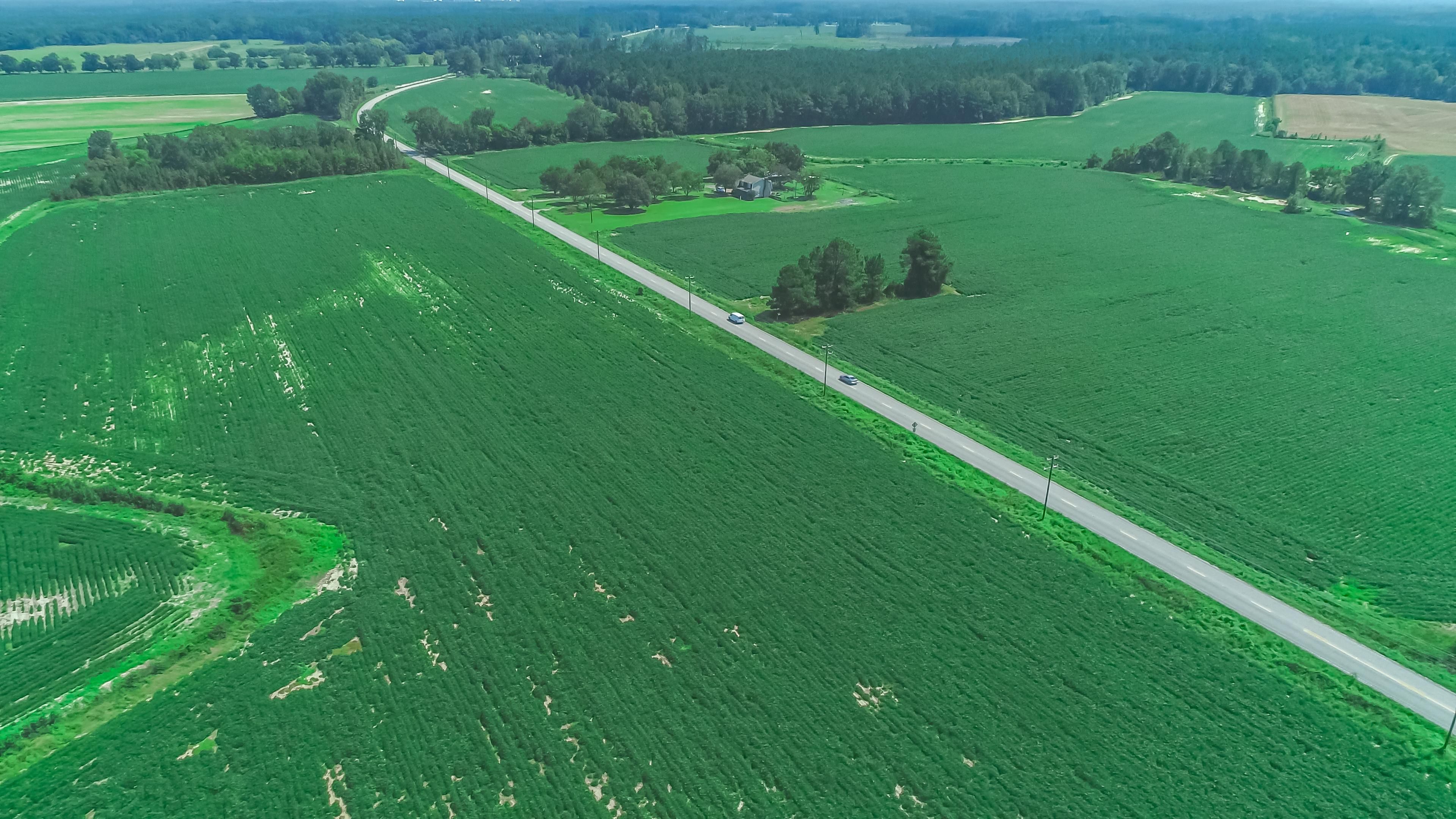 Corrie Farm Road, Florence, SC 29506 Land and Farm
