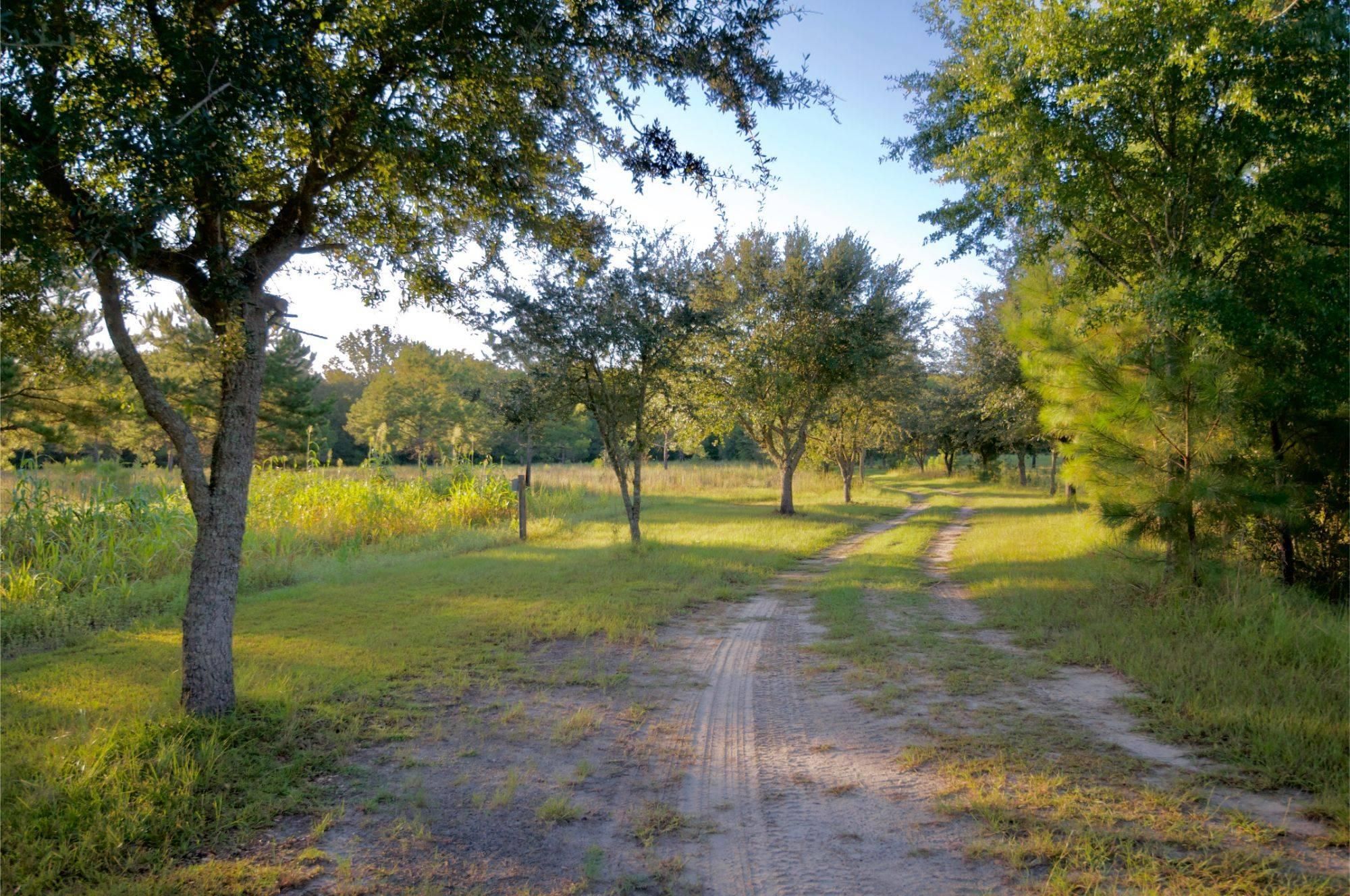301.95 acres in Early Branch, SC, 29916 Land and Farm