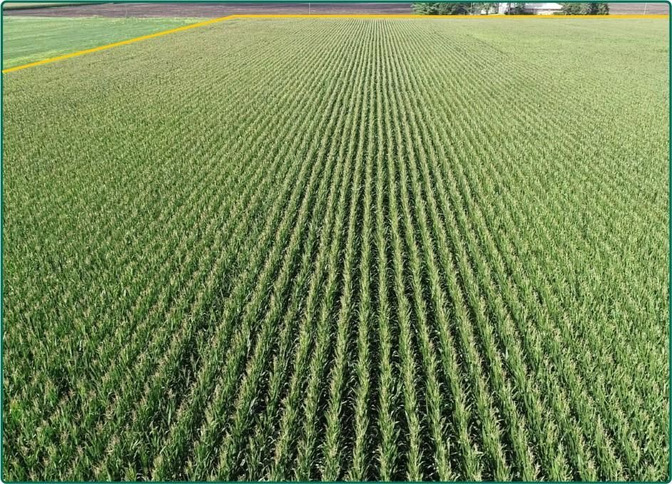 51.25 Acres, W 6940 N Rd., Bourbonnais, IL 60914 Land and Farm