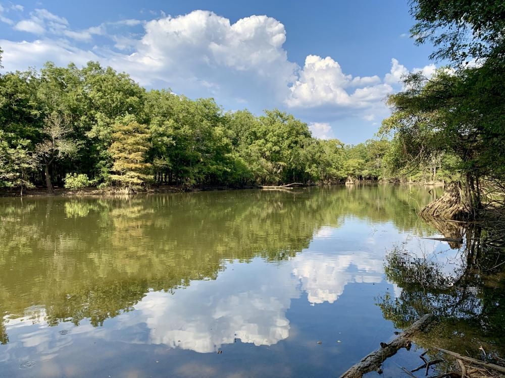 0 Holley Creek Landing Road, Tensaw, AL 36579 Land and Farm