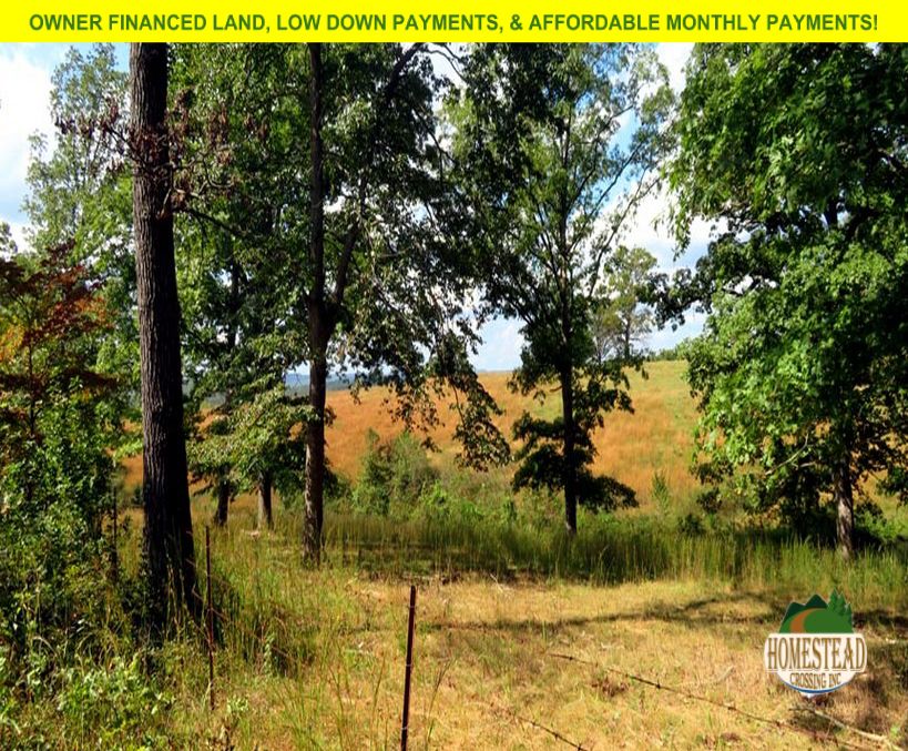 5.3 Acres, Thornfield, MO 65762 Land and Farm