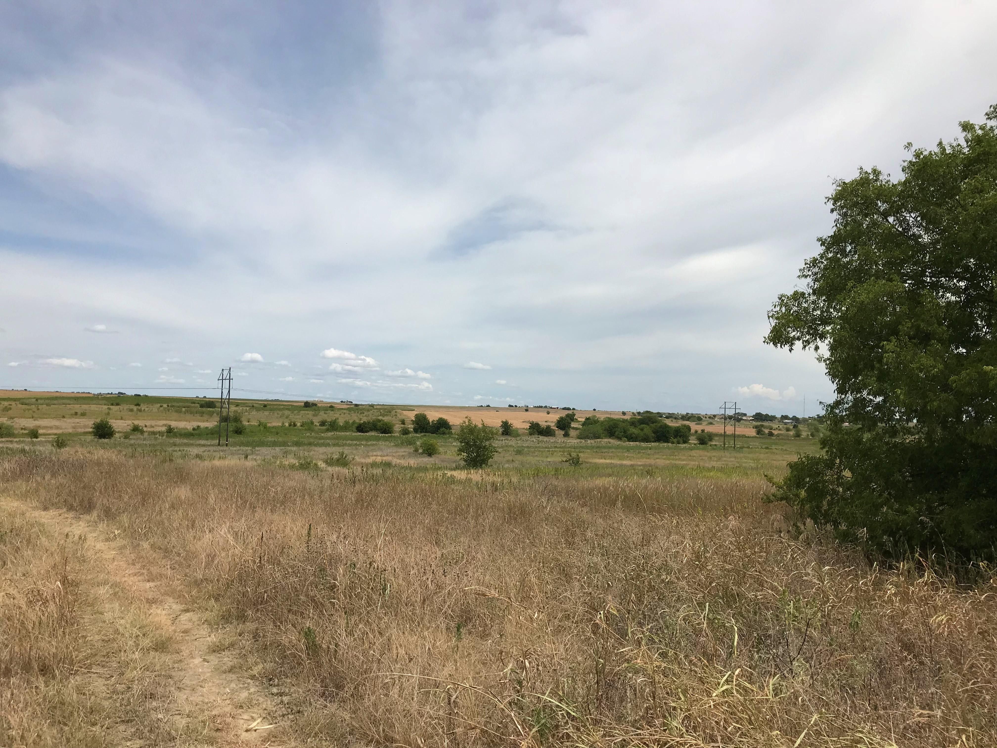 Lot 7 Lund Carlson Road, Elgin, TX 78621 Land and Farm