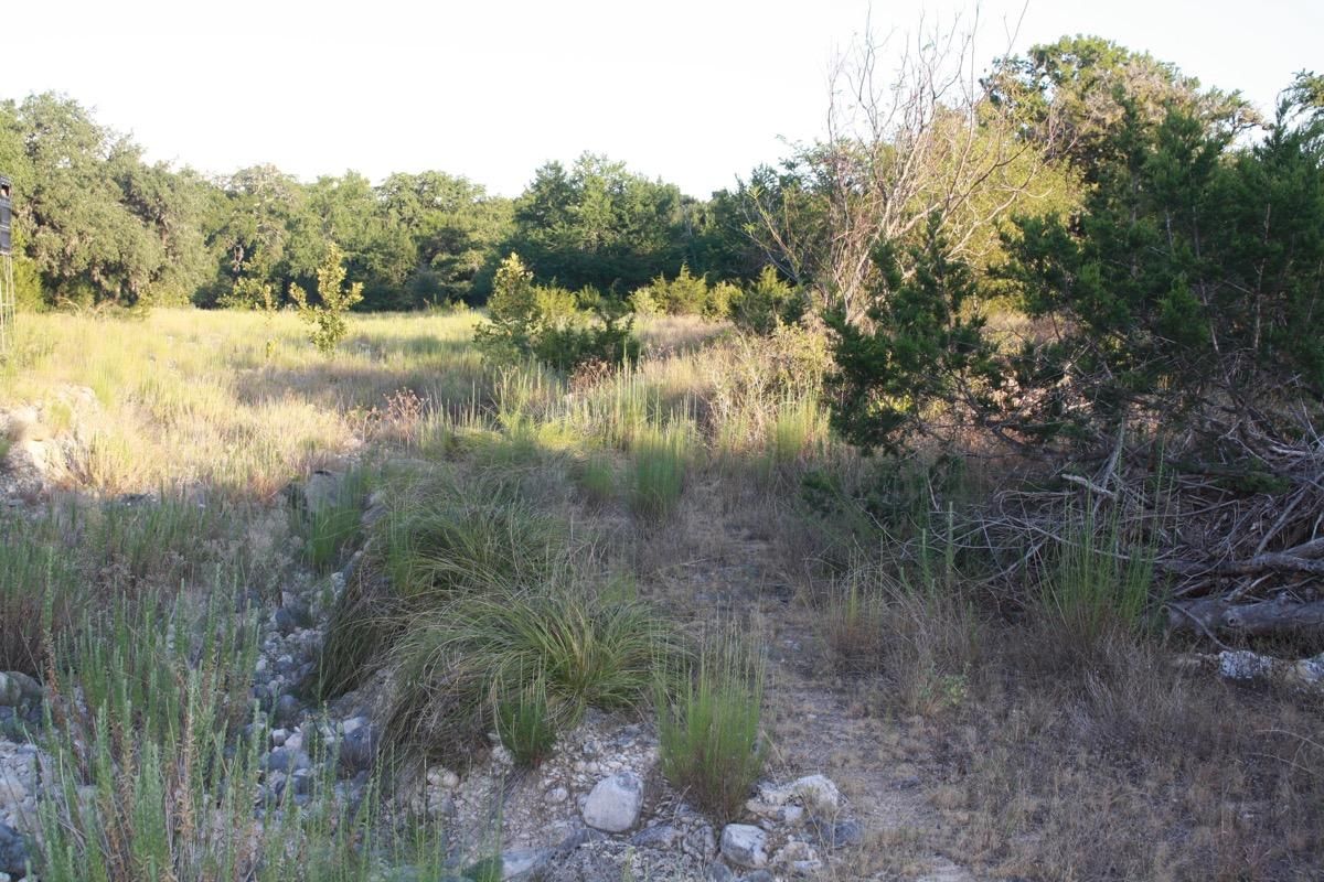 8.42 Acres, Cypress Hollow Road, Utopia, TX 78884 Land and Farm
