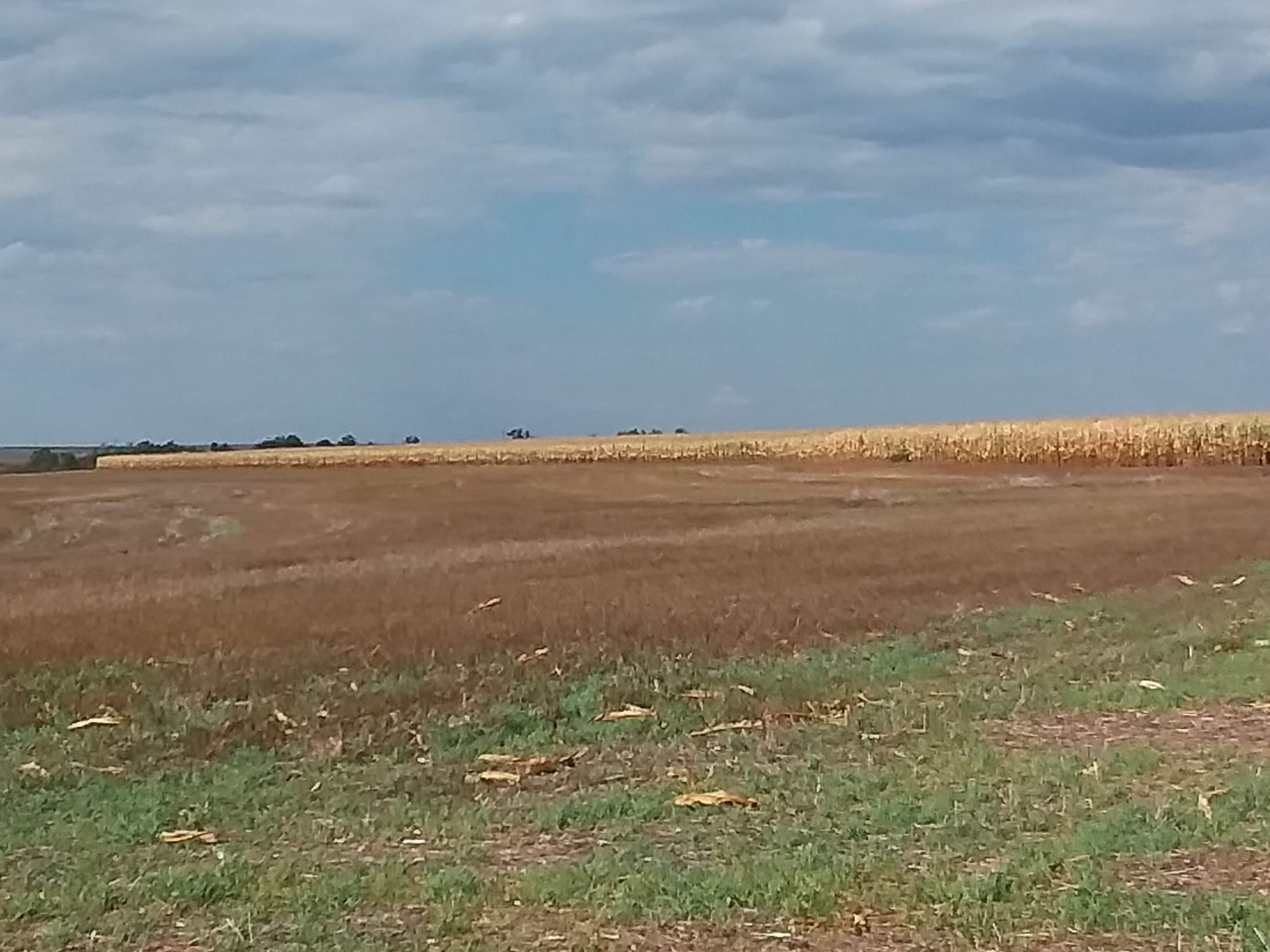 502 acres in Arapahoe, NE, 68922 Land and Farm