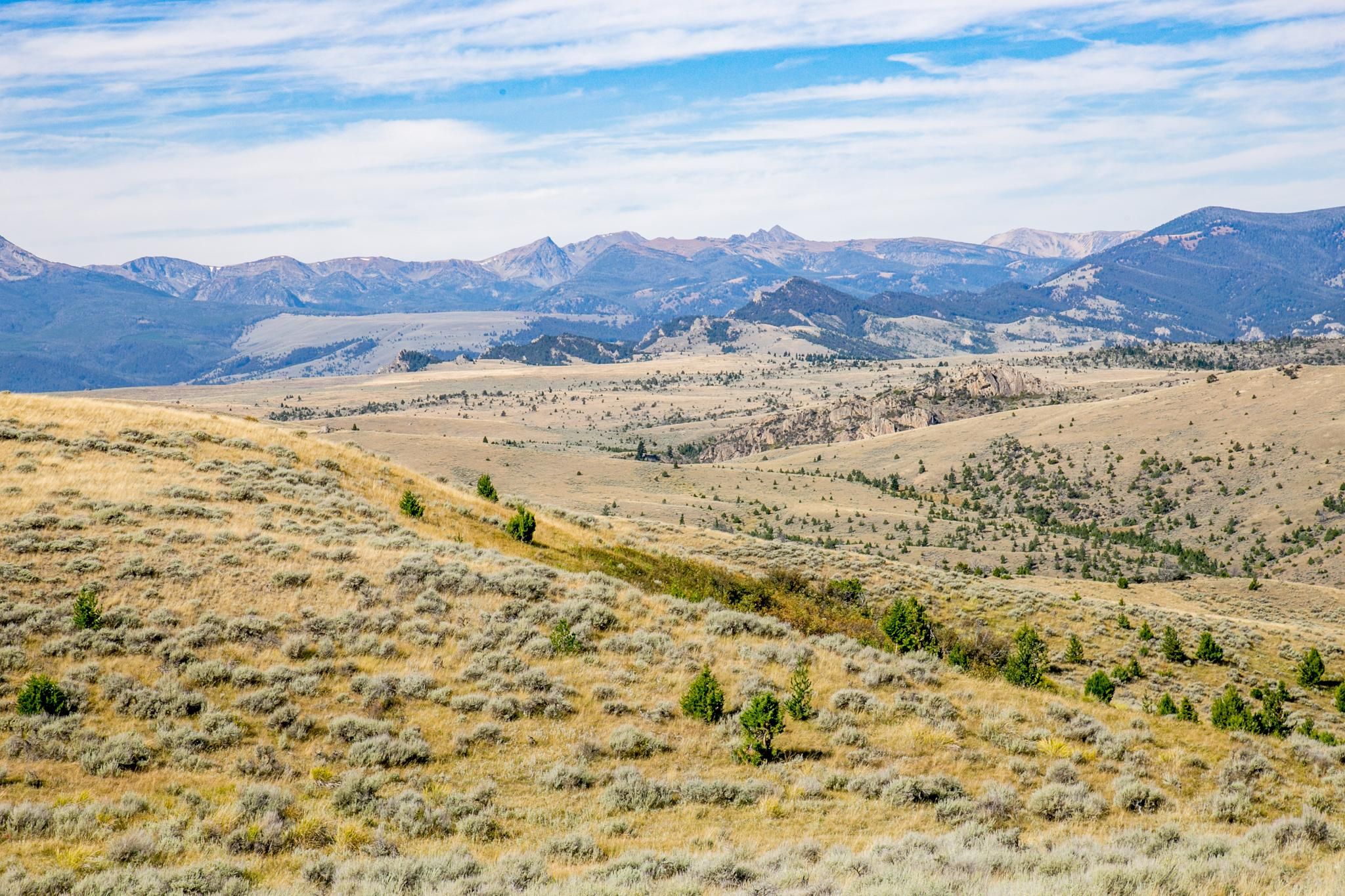 756.78 acres in Norris, MT, 59745 MLS 339589 Land and Farm