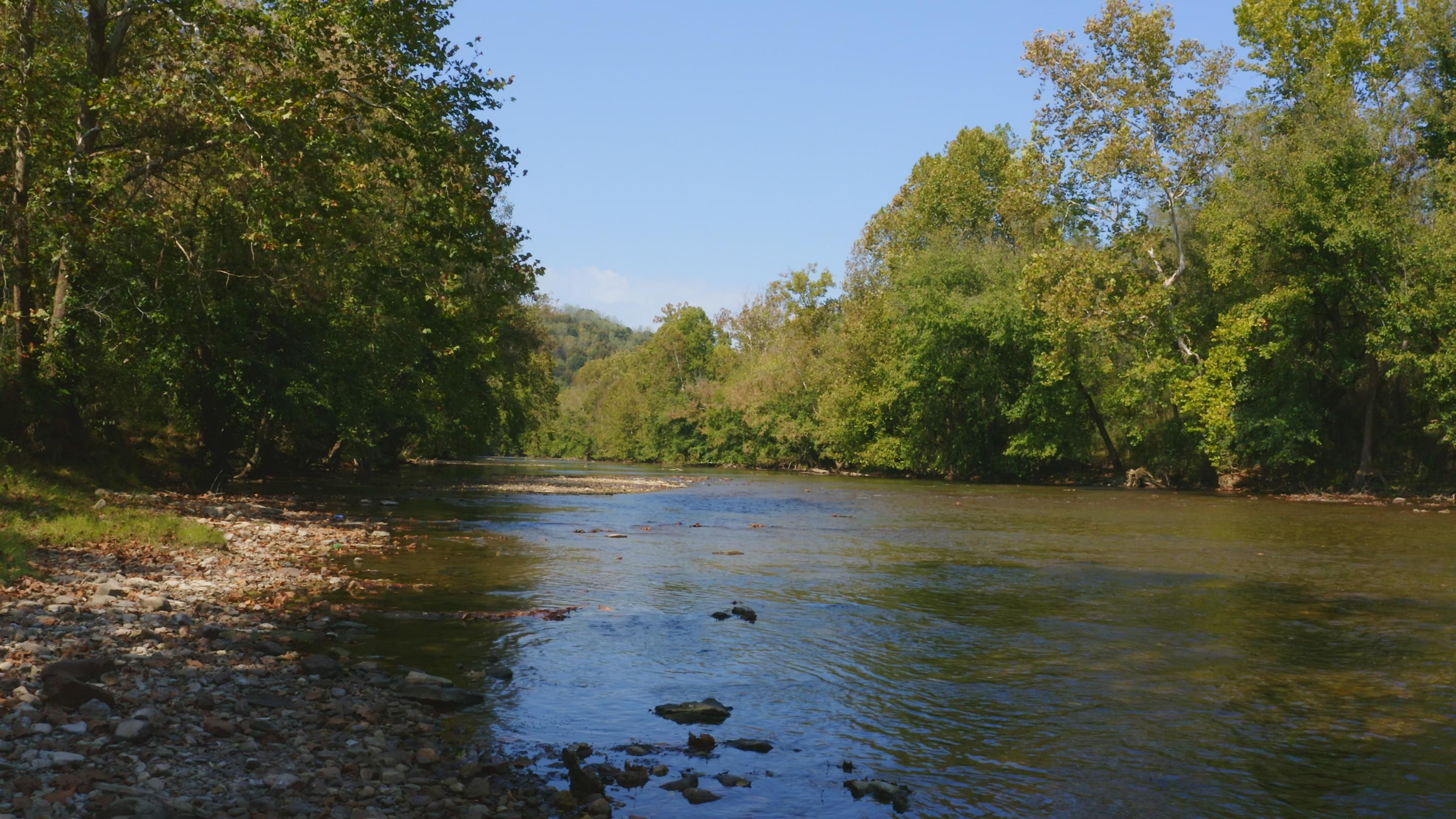 Red Hill Road, Tazewell, TN 37752 MLS 4109503610 Land and Farm