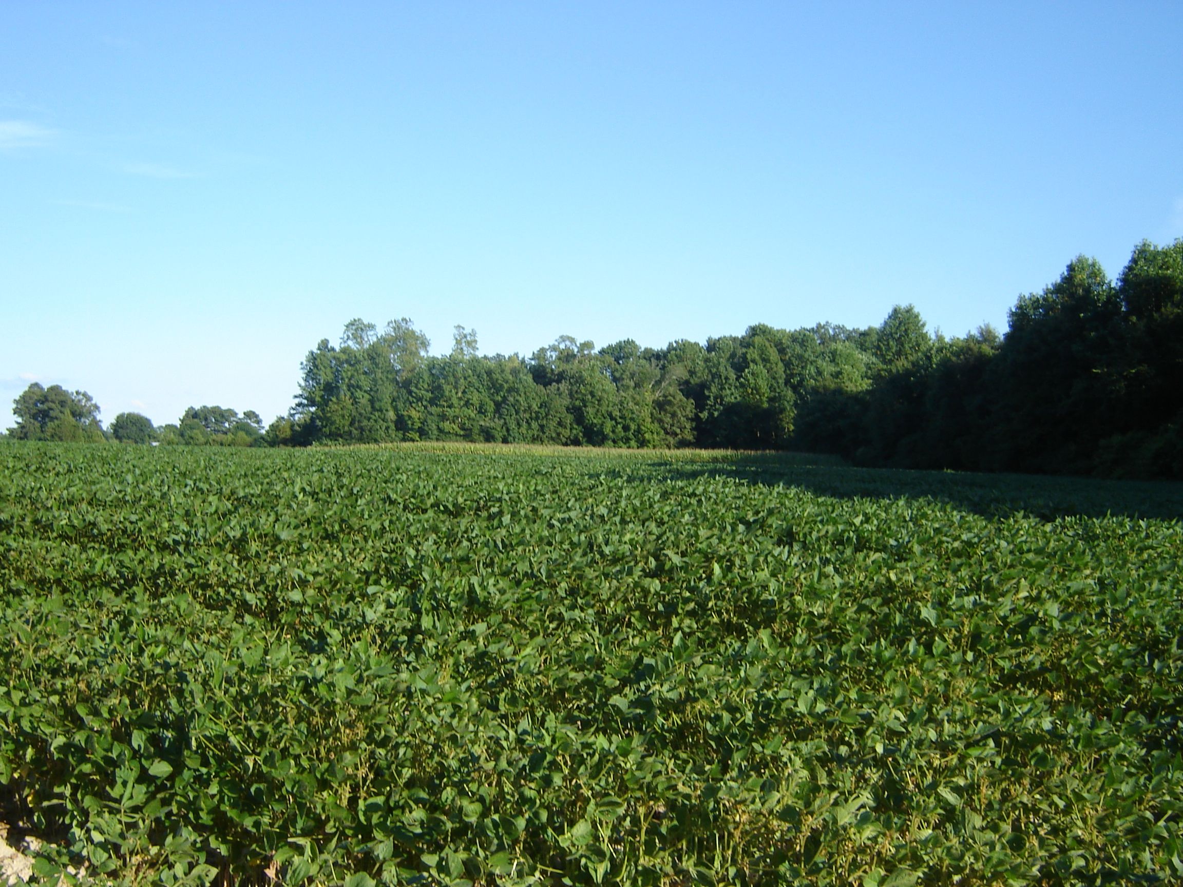 5729 Holland Rd, Suffolk, VA 23437 MLS 10178723 Land and Farm