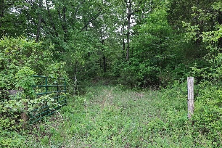 11 A Fannie Lankford Road, Evening Shade, AR 72532 MLS 5386 Land