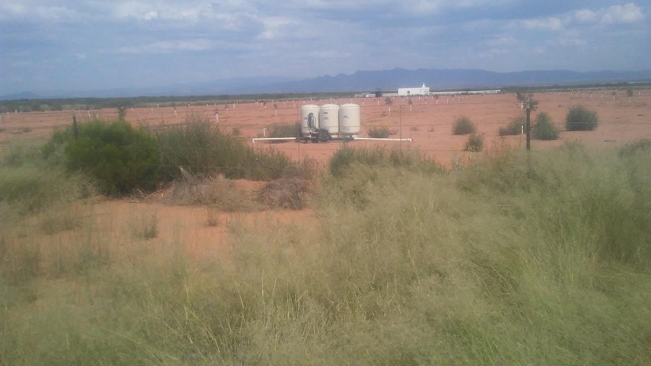 259 Acres, Tombstone Heritage Ranch, Tombstone, AZ 85638 Land and Farm