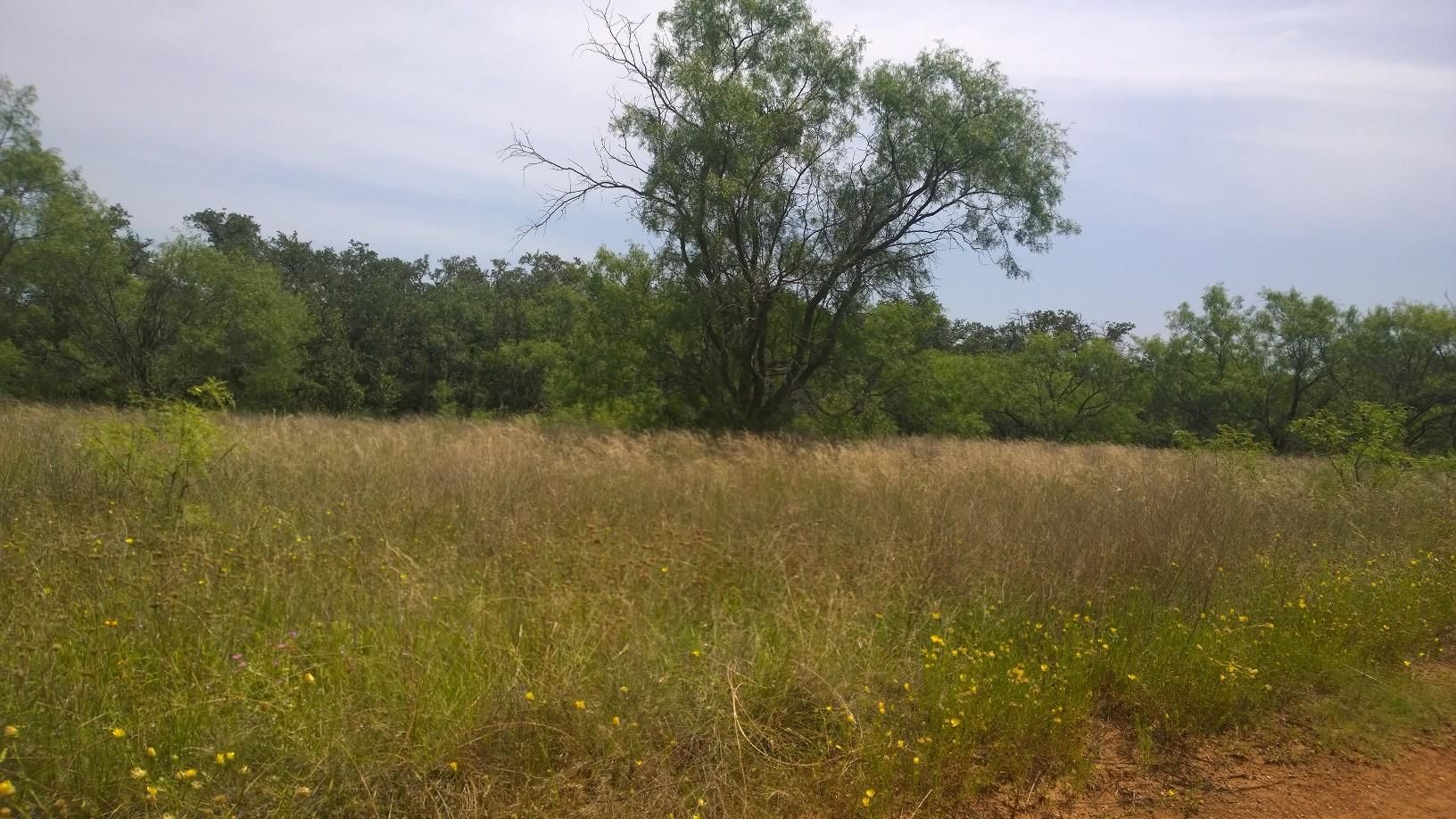 3036 CR 146, Breckenridge, TX 76424 Land and Farm