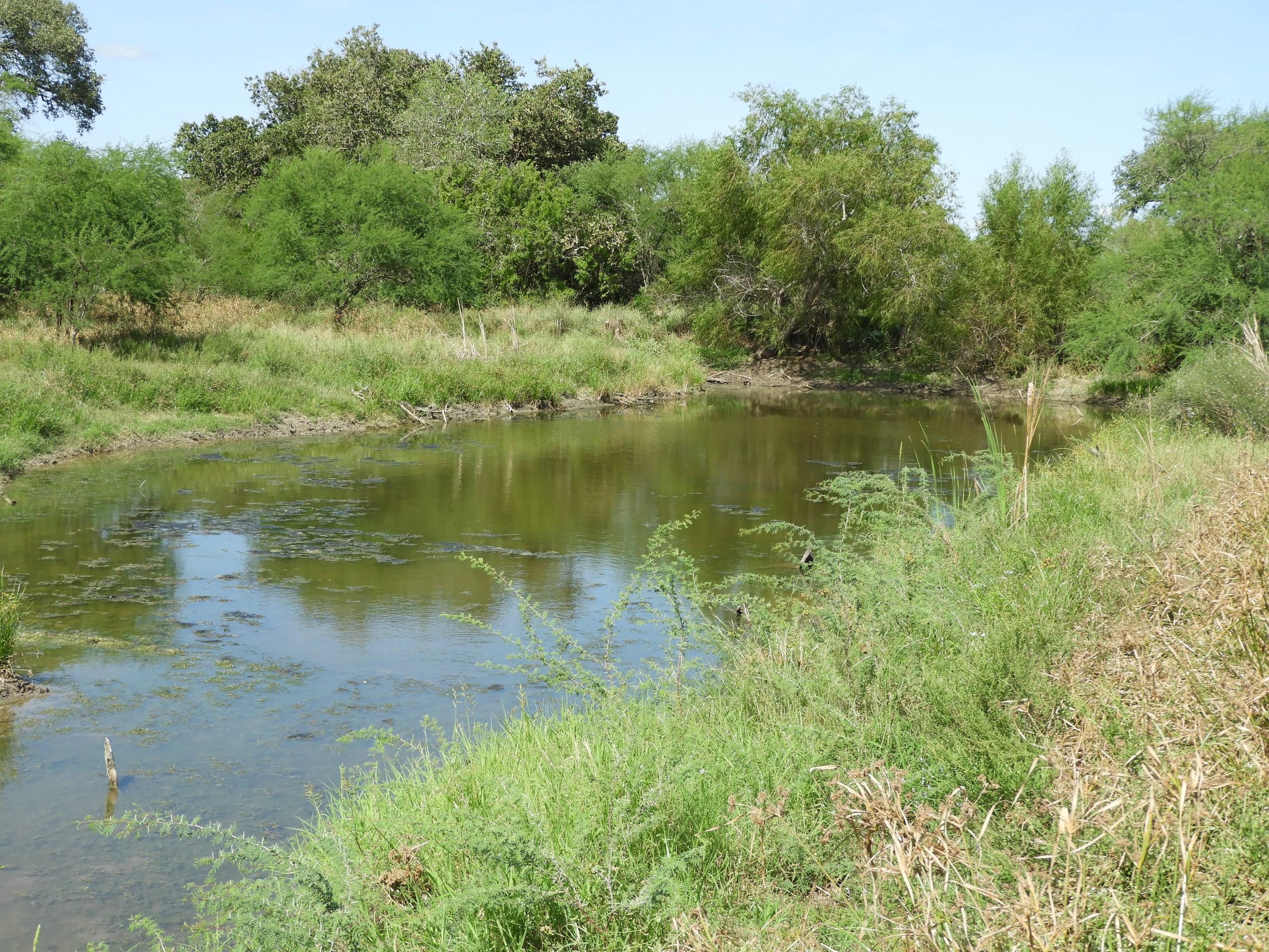 219 acres in Papalote, TX, 78389 Land and Farm