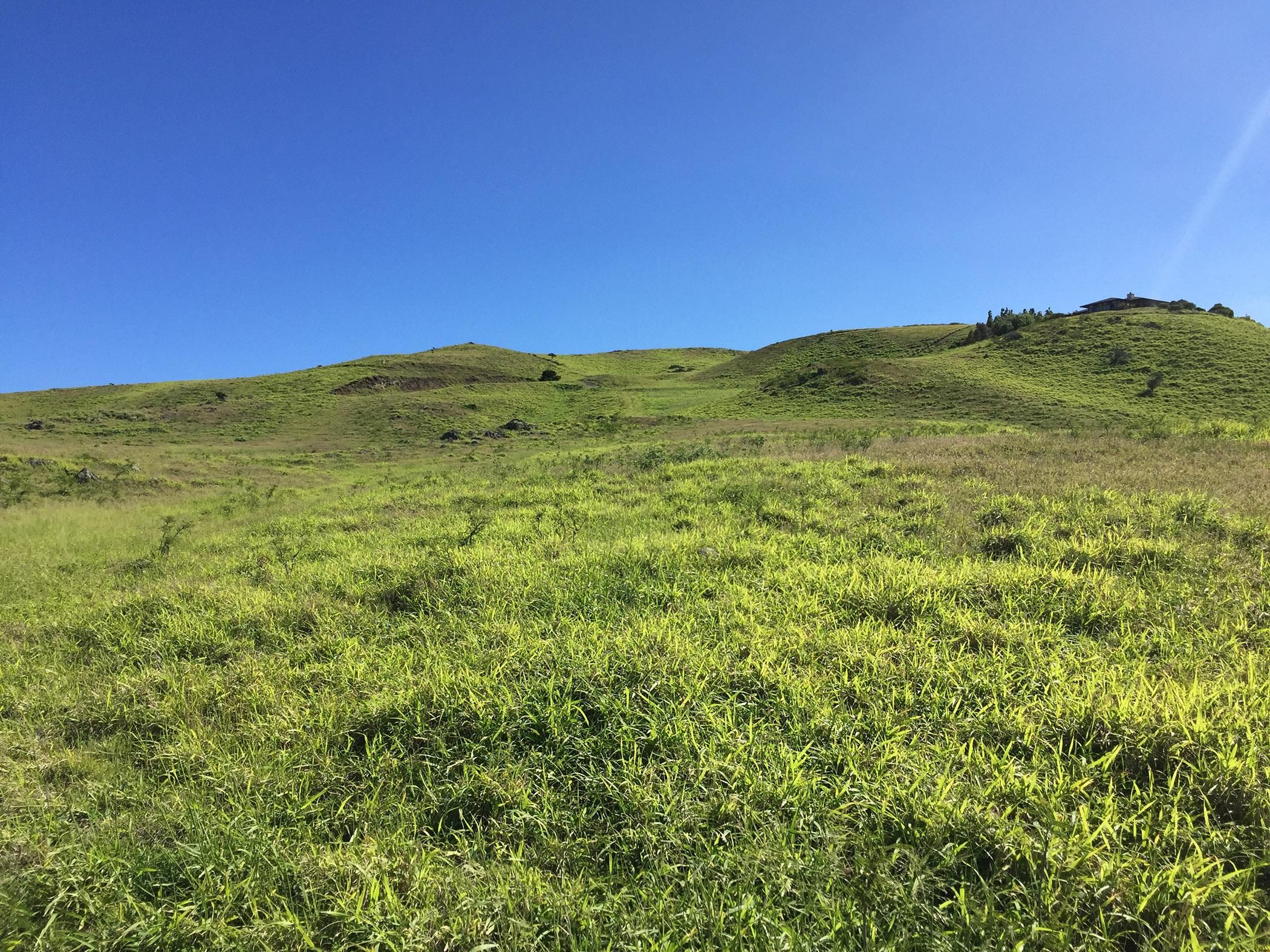 10 Acres, Kohala Ranch Road, Kamuela, HI 96743 Land and Farm