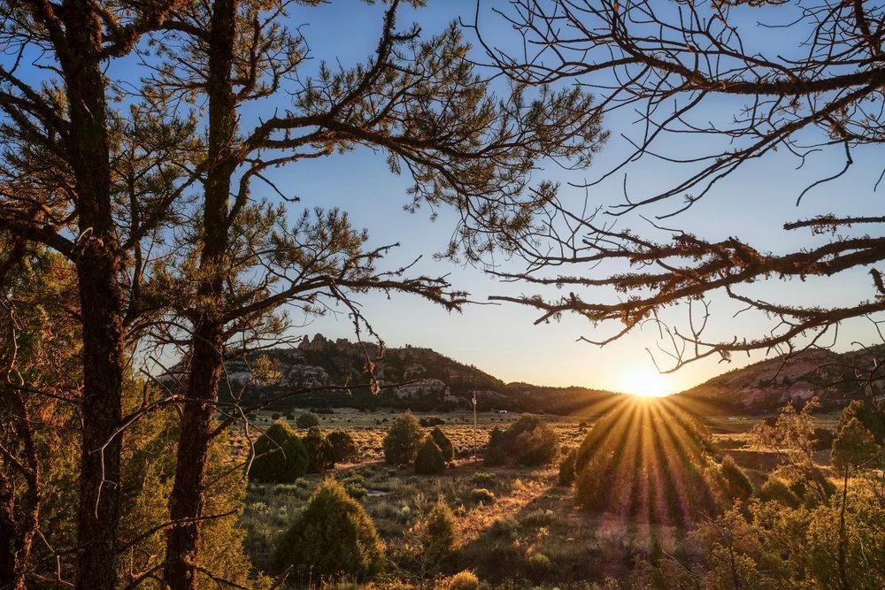 4.2 Acres, Ramah, NM 87321 Land and Farm