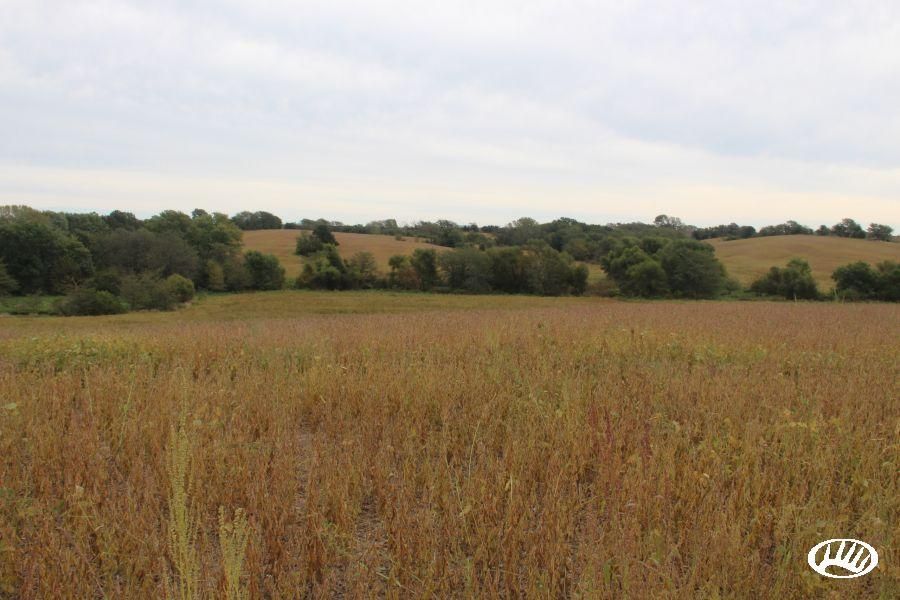 80 Acres, Highway UU, Browning, MO 64630 Land and Farm