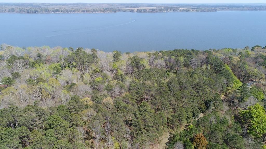 15 acres in Eufaula, AL, 36027 MLS 21339 Land and Farm