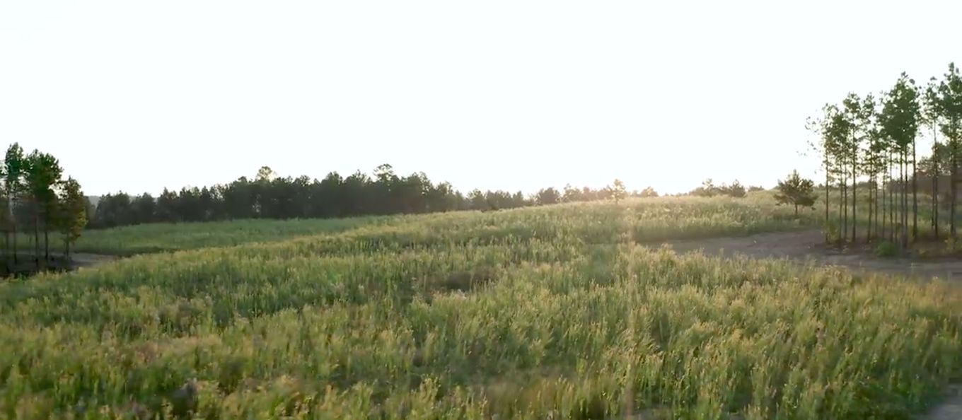 205 Acres, Cullman, AL 30540 Land and Farm