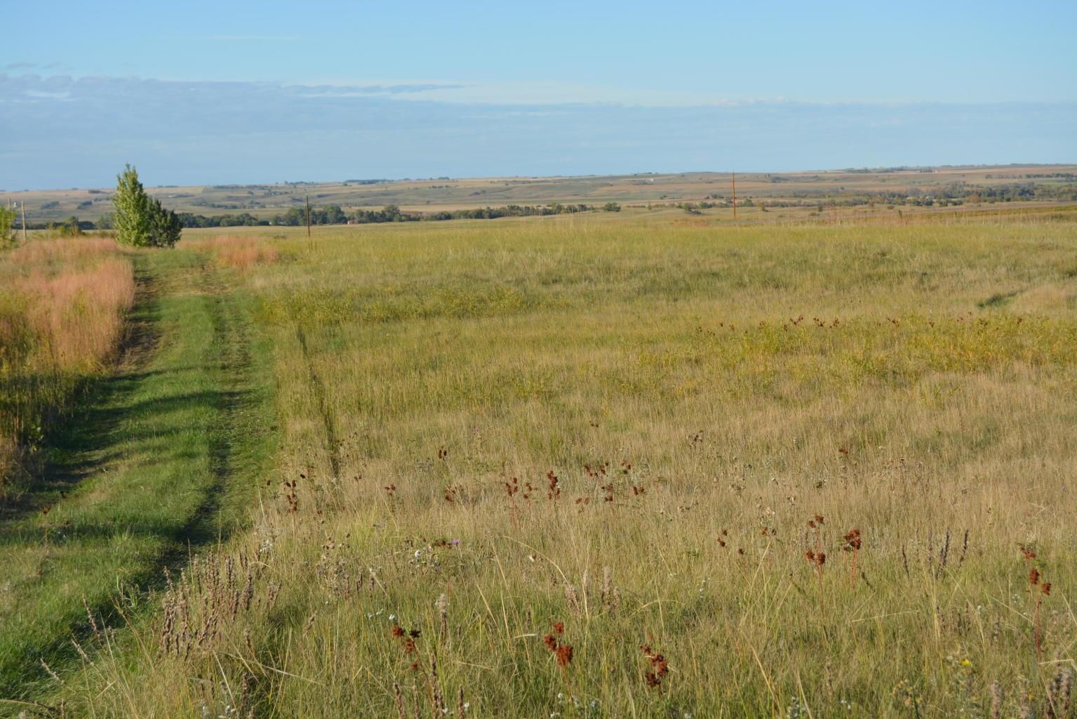 20 Acres, Hazen, ND 58545 Land and Farm