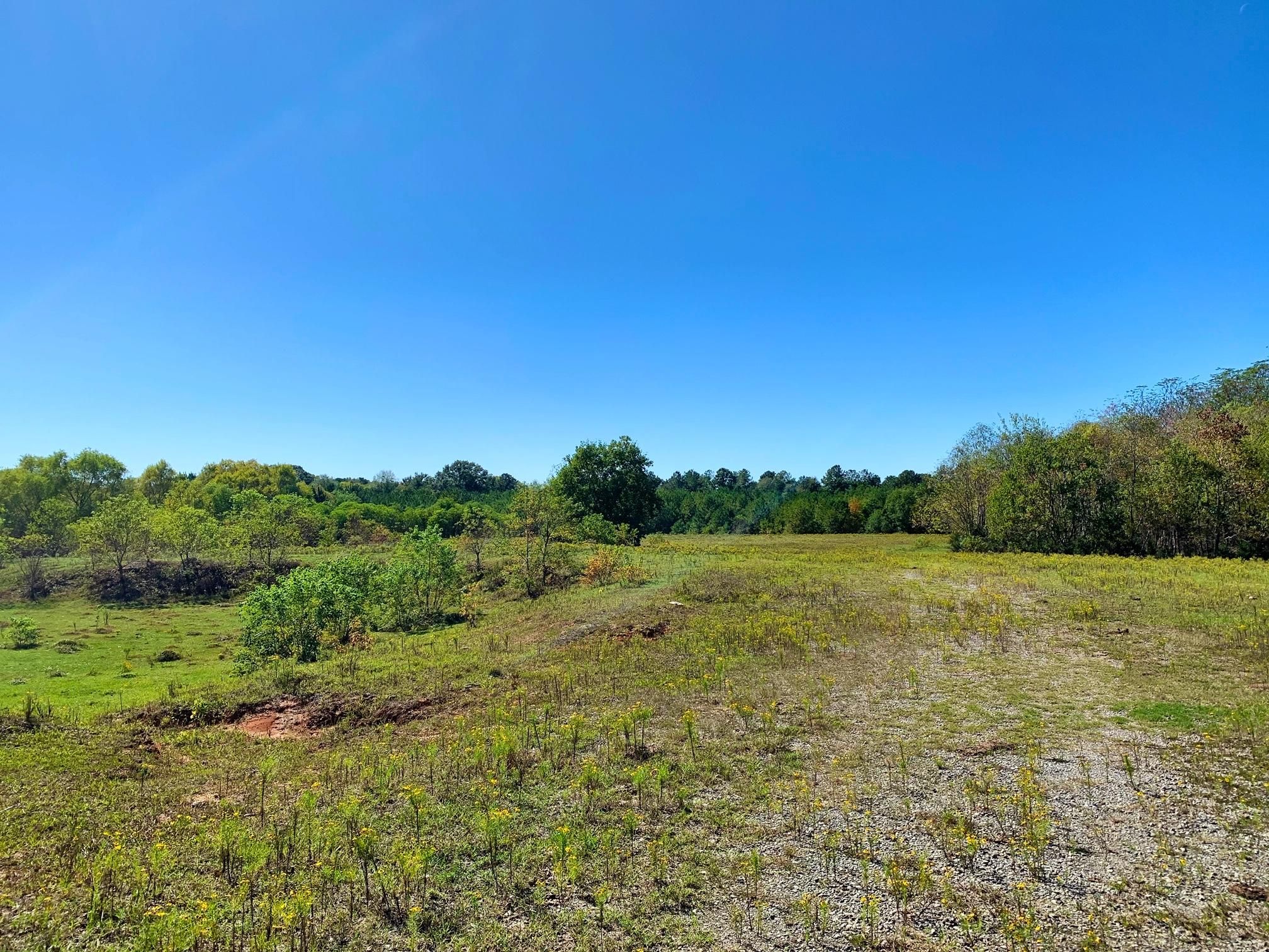 58 Acres, Brewer Rd, Montgomery, AL 36108 Land and Farm