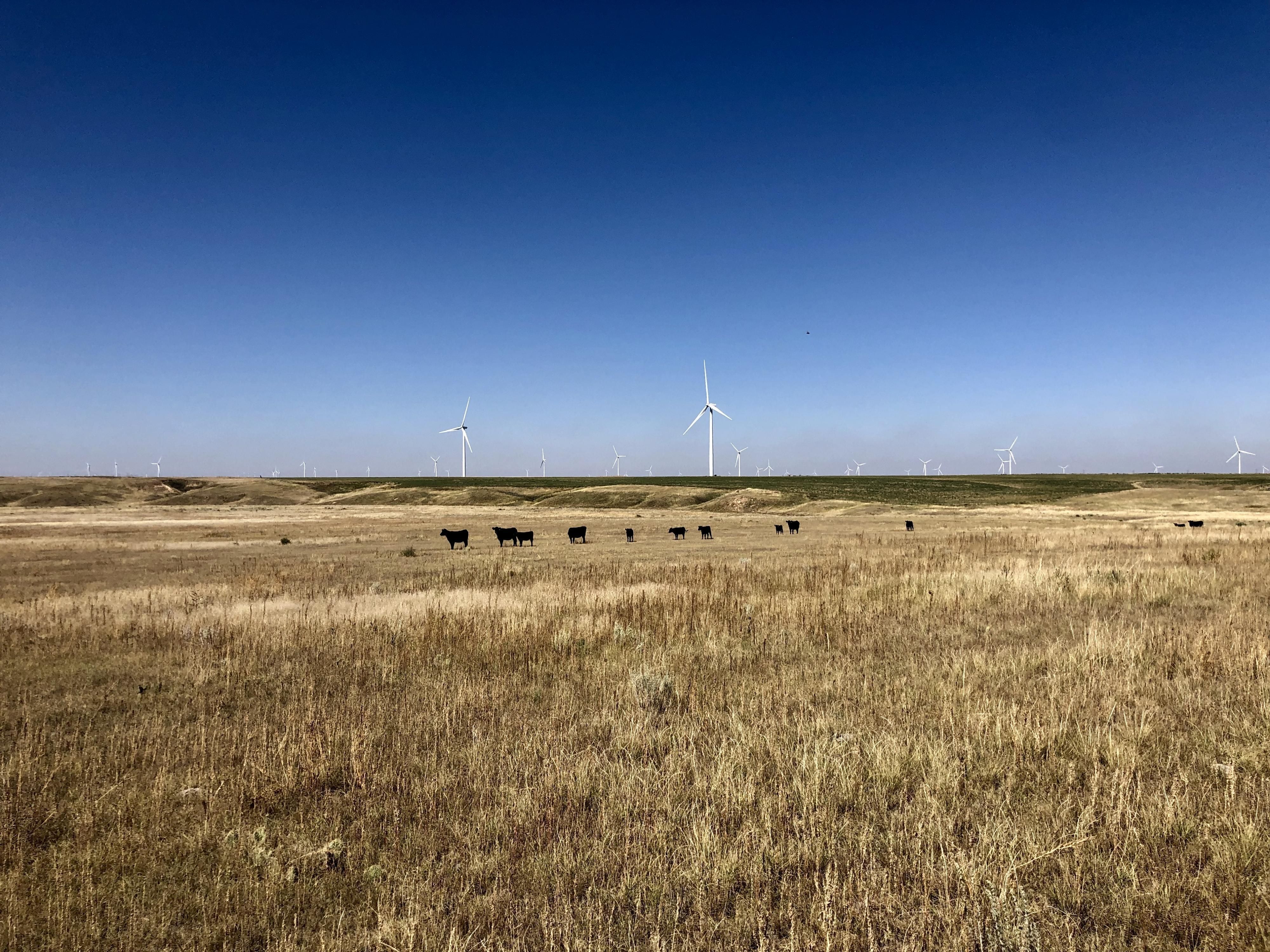 1,150 Acres, 0001 County Road 37, Arriba, CO 80804 Land and Farm