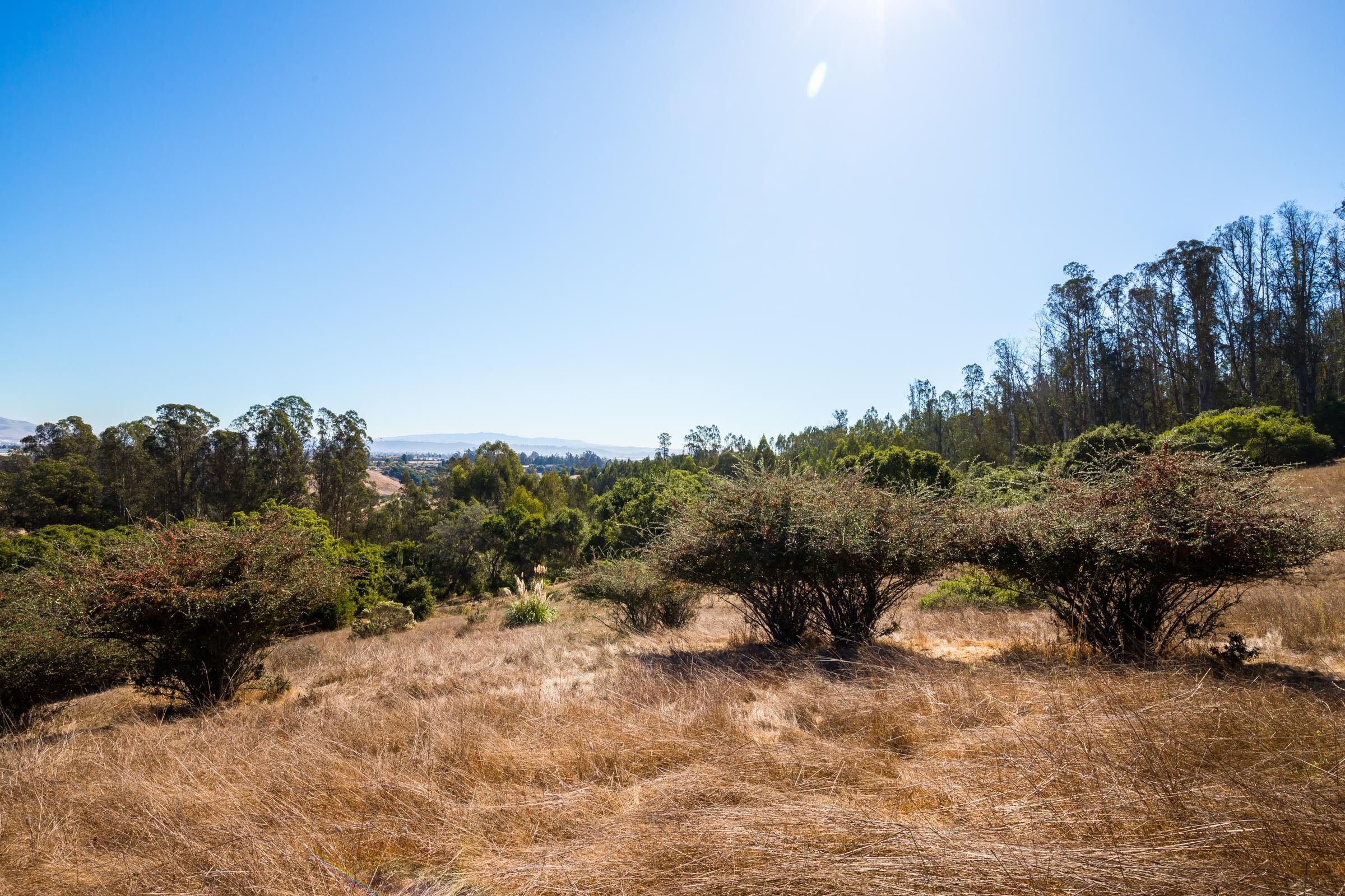 21 Acres, Trabing Road, Watsonville, CA 95076 Land and Farm