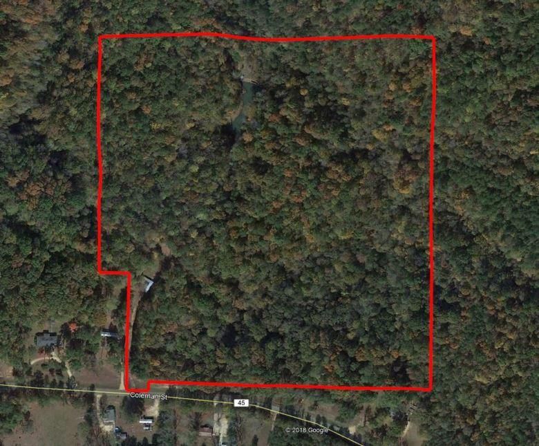 39 Acres, Fort Deposit, AL 36032 Land and Farm