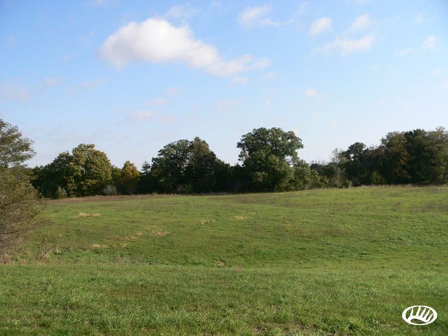 82.47 Acres, 150th St., Lot WP001, Moscow, IA 52761 Land and Farm