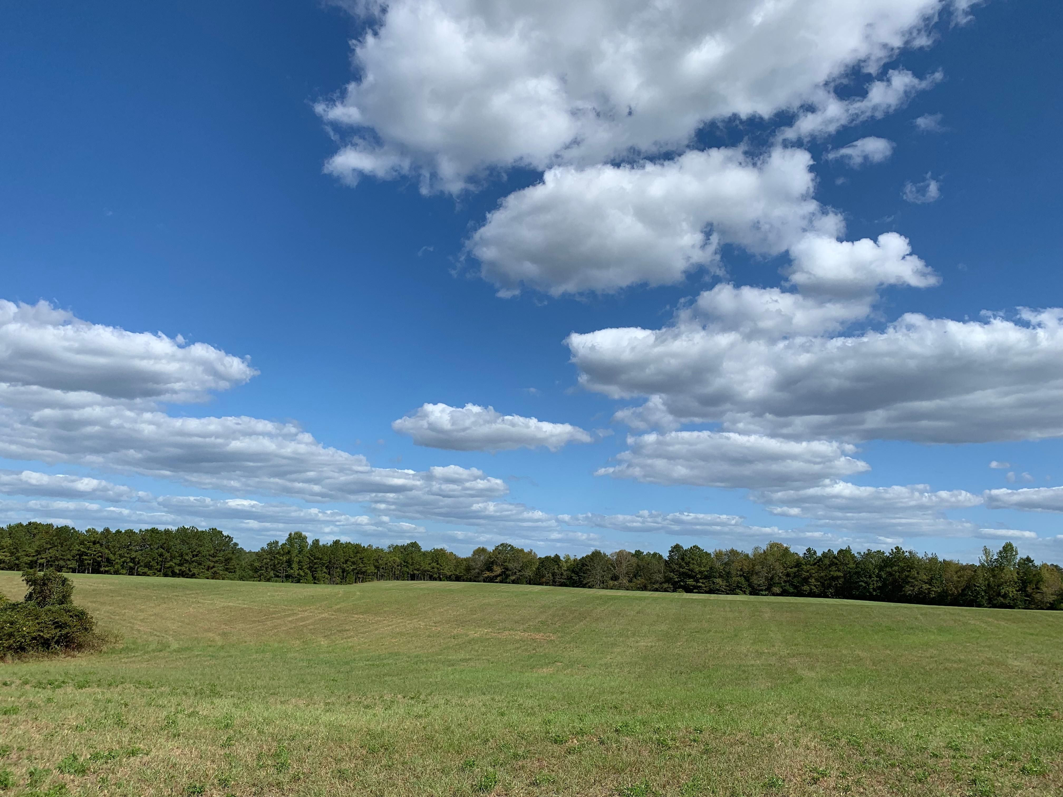 130 Acres, 11031 U.S. 82, Maplesville, AL 36750 Land and Farm