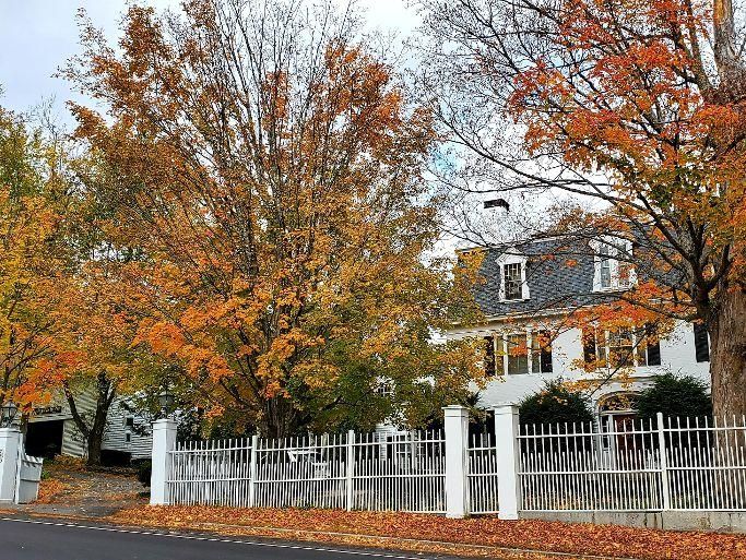 13 Acres, 599 Turnpike Road, New Ipswich, NH 03071 Land and Farm