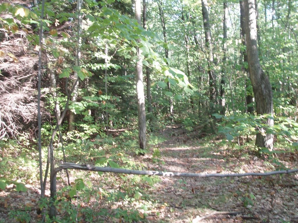7.81 Acres, 0 Mount Tom Lane, Wellsboro, PA 16901 Land and Farm