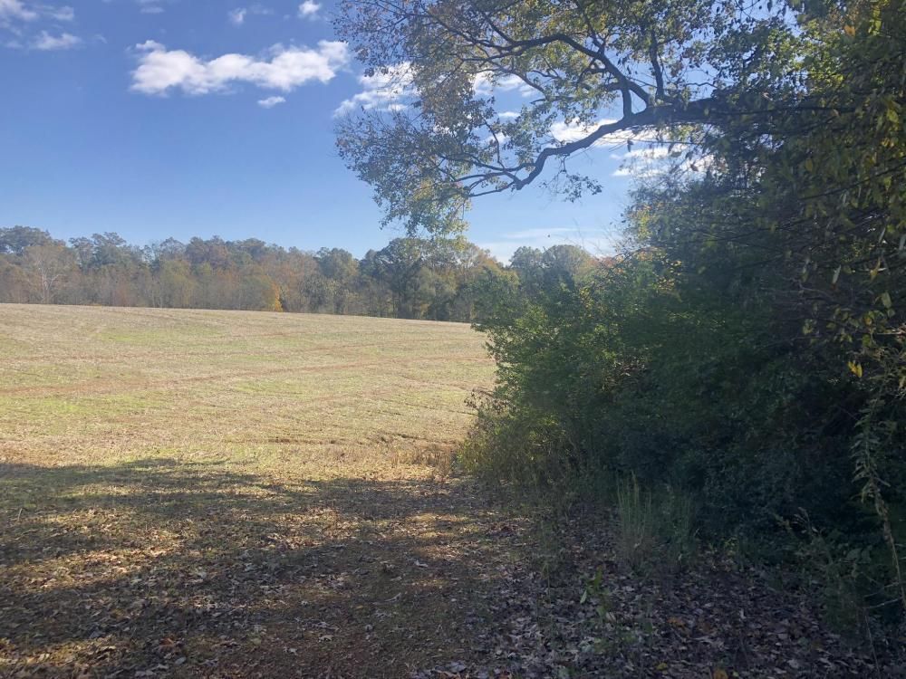 42 Acres, Rocky Mount Church Road, Polkton, NC 28135 Land and Farm