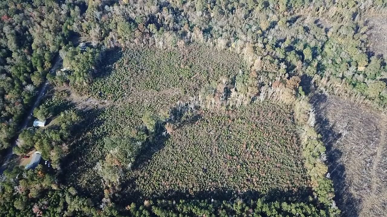 Weathers Road, Ringgold, LA 71068 Land and Farm