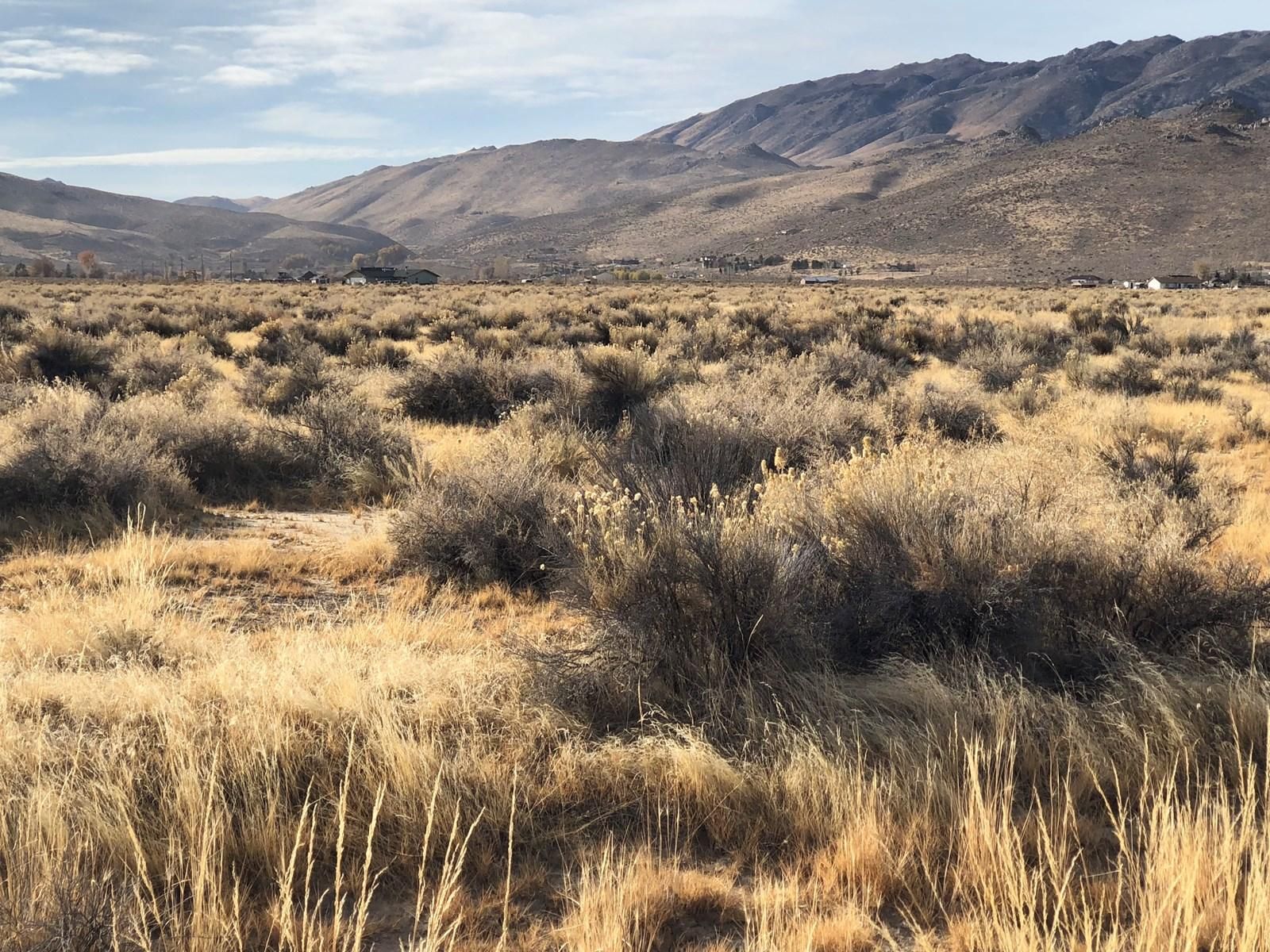 37 Acres, 15605 Panhandle Rd, Reno, NV 89508 Land and Farm