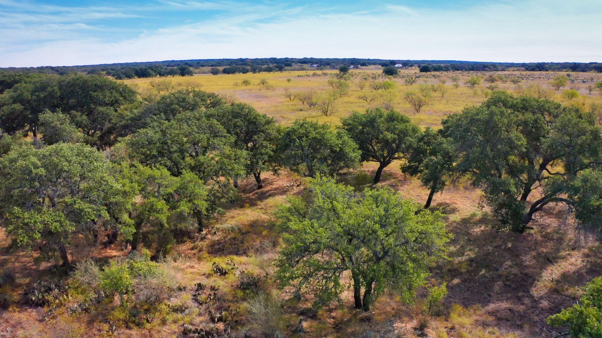 248 Acres, A H Road, Mason, TX 76856 Land and Farm
