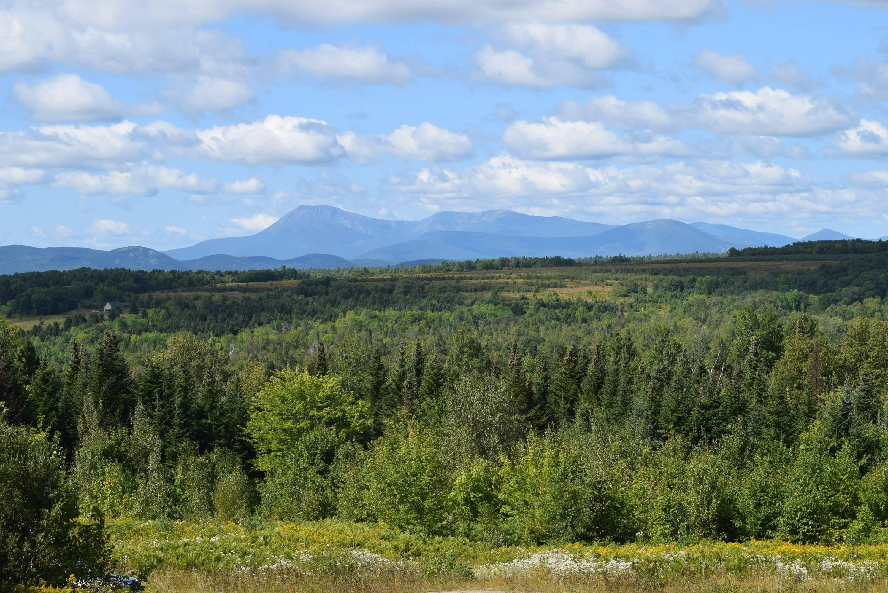 R11 L36 Shin Pond Road, Patten, ME 04765 Land and Farm