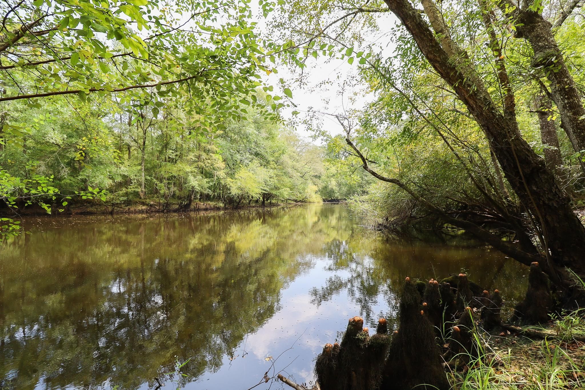 142 Ebenezer Road, Yemassee, SC 29945 Land and Farm