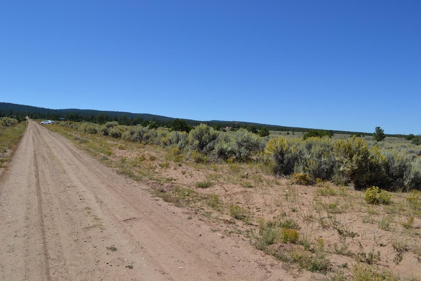 0.25 acres in Tres Piedras, NM, 87577 MLS C2019057 Land and Farm