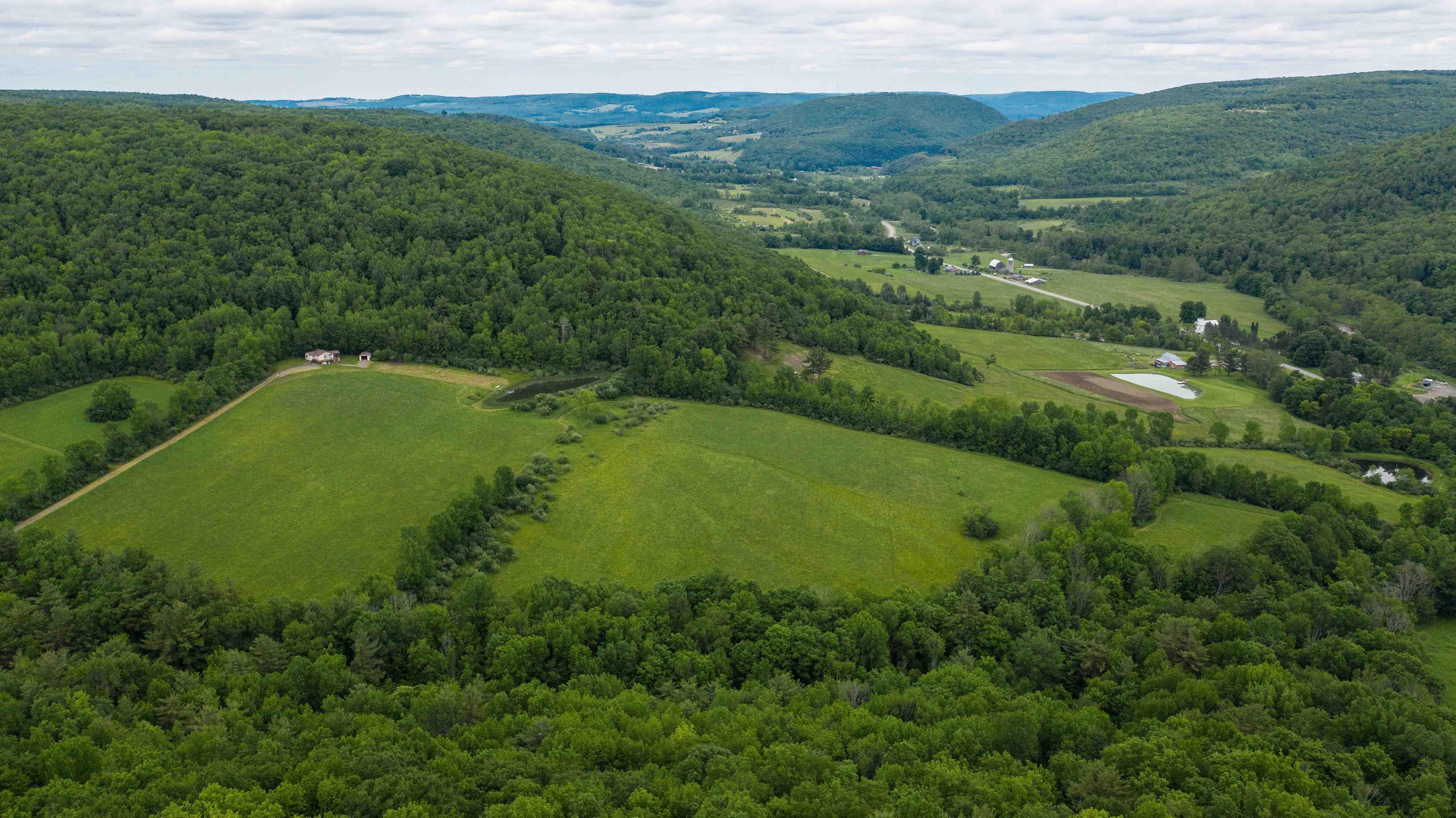 5135 Purdy Creek Road, Hartsville, NY 14843 MLS S1199610 Land and Farm