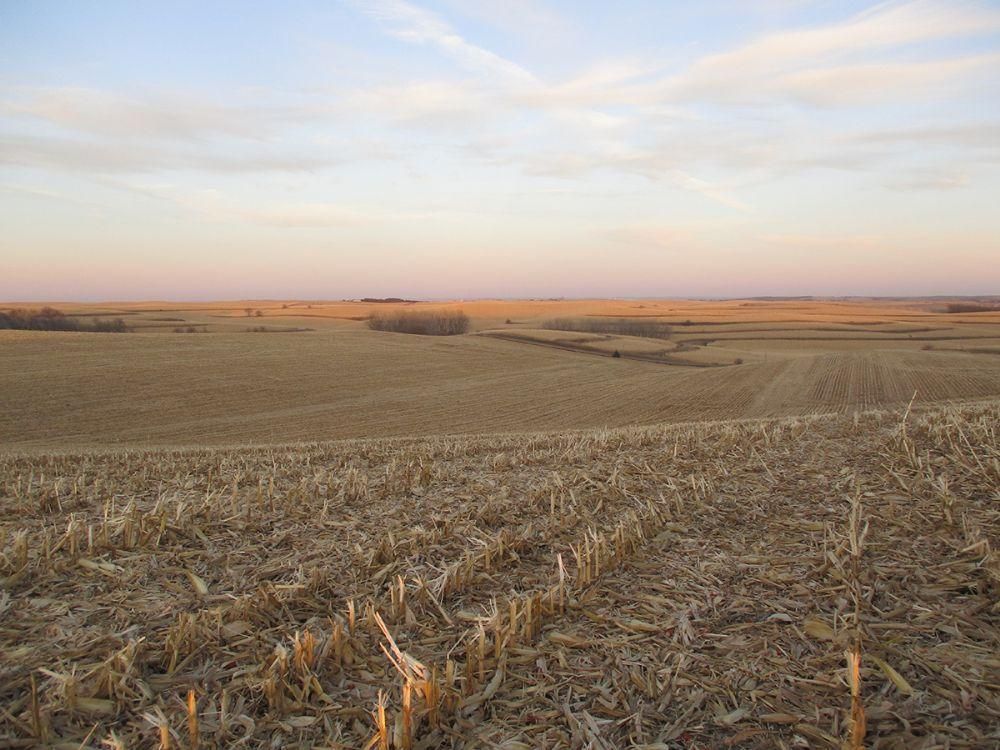 160 Acres, Hubbard, NE Land and Farm