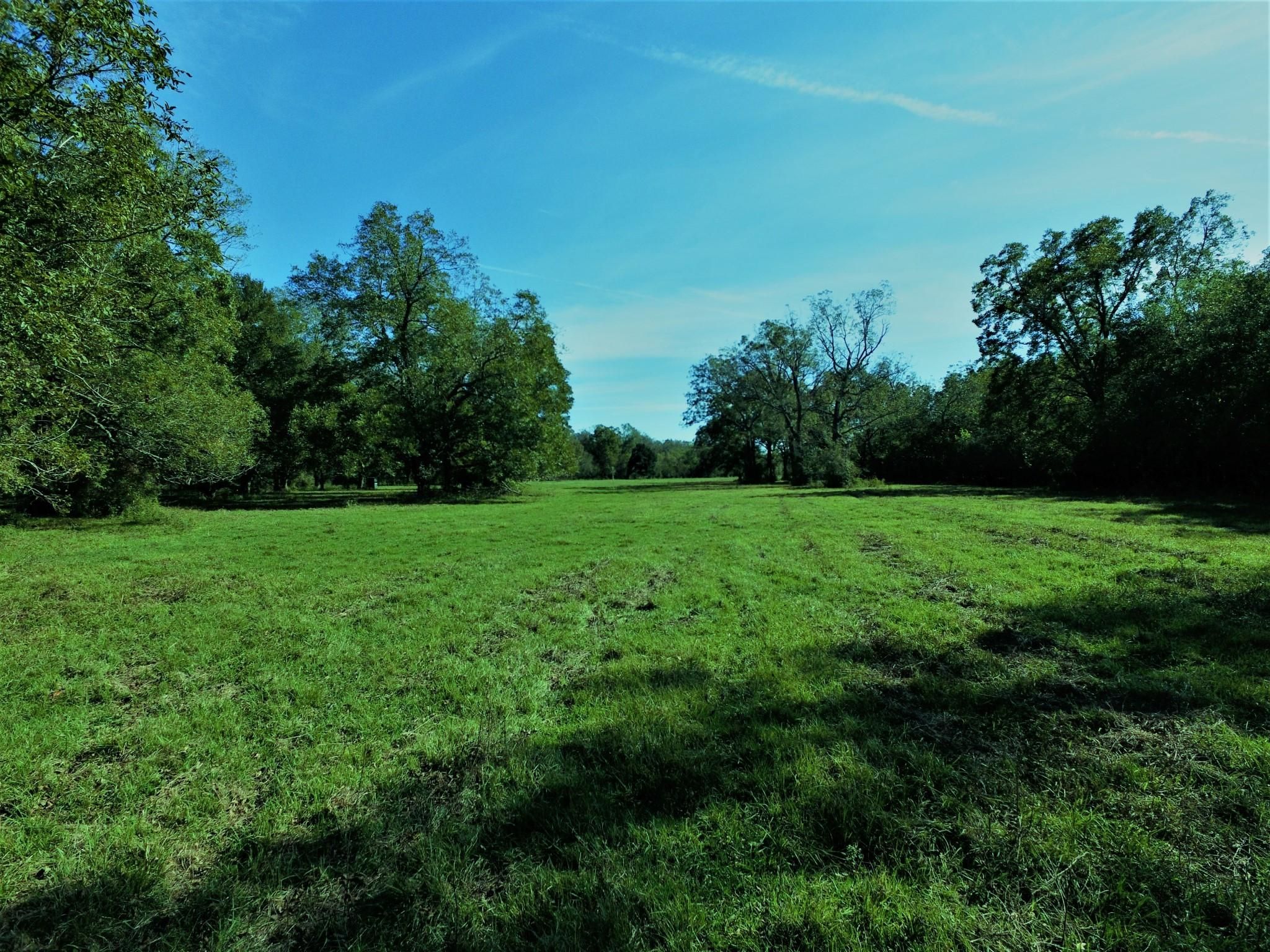 76.25 Acres, 3832 FM 1301, Pledger, TX 77468 Land and Farm