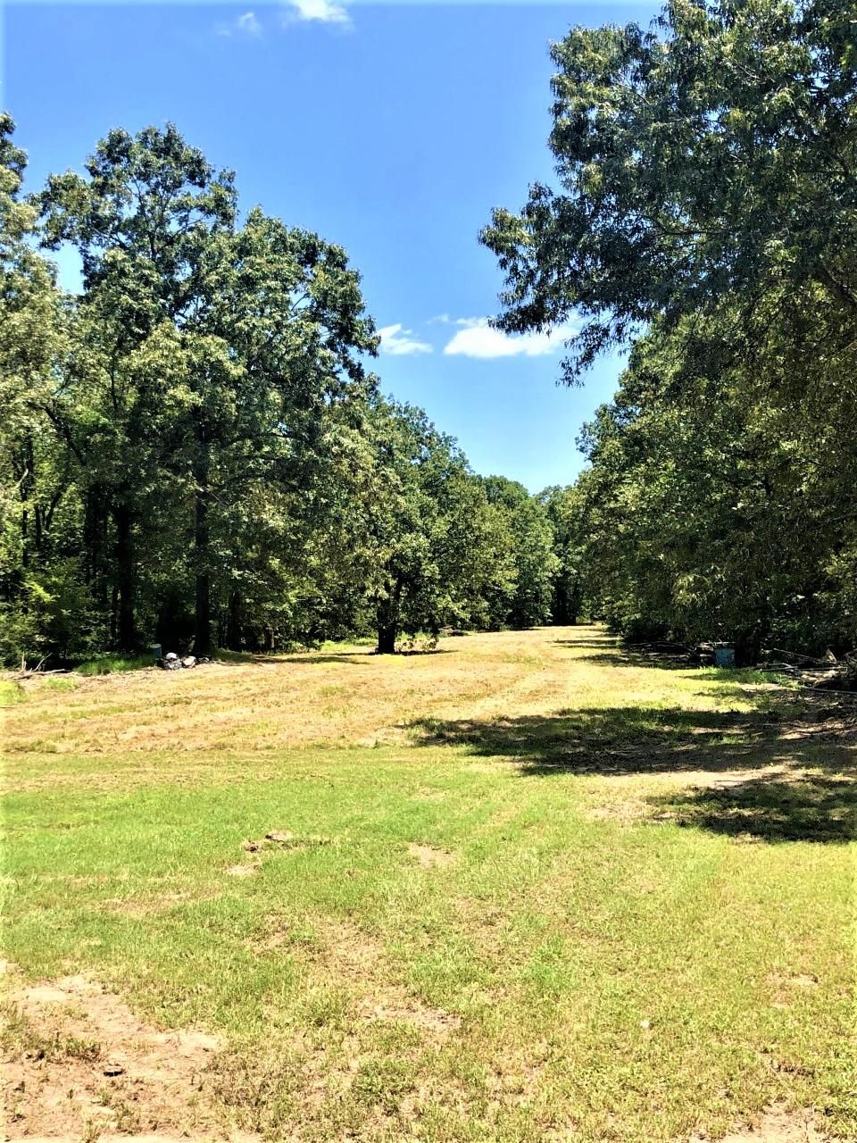 20 Acres, Avery, TX 75554 Land and Farm