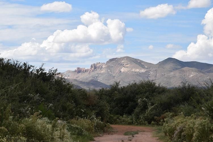 60 acres in Van Horn, TX, 79855 Land and Farm