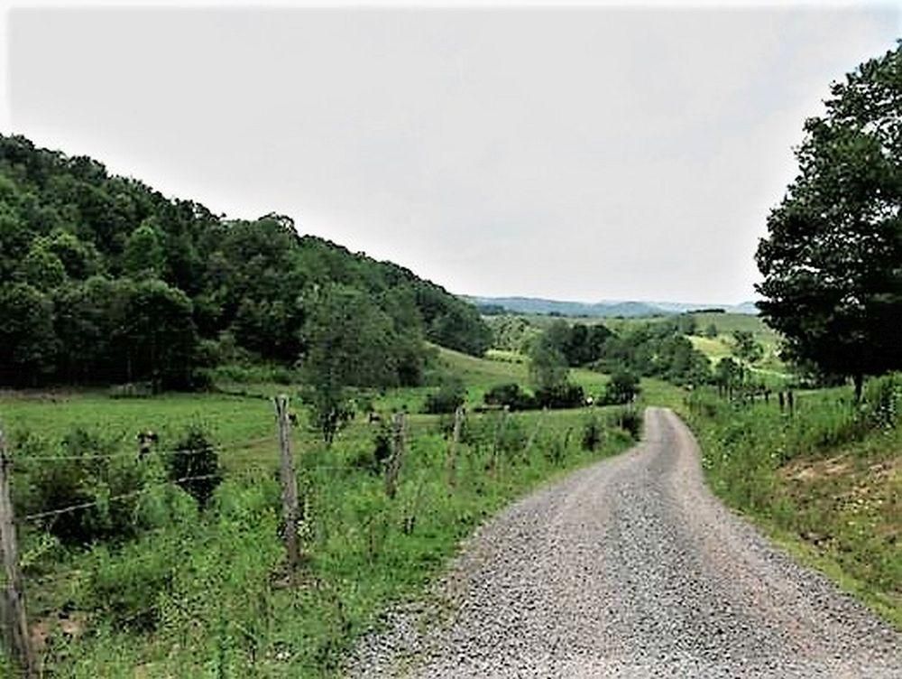 50 Acres, 270 Shelton Lane, Grassy Meadows, WV 24910 Land and Farm