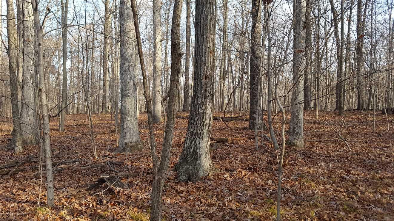 144 Acres, Potters Lane, Newport, IN 47966 Land and Farm