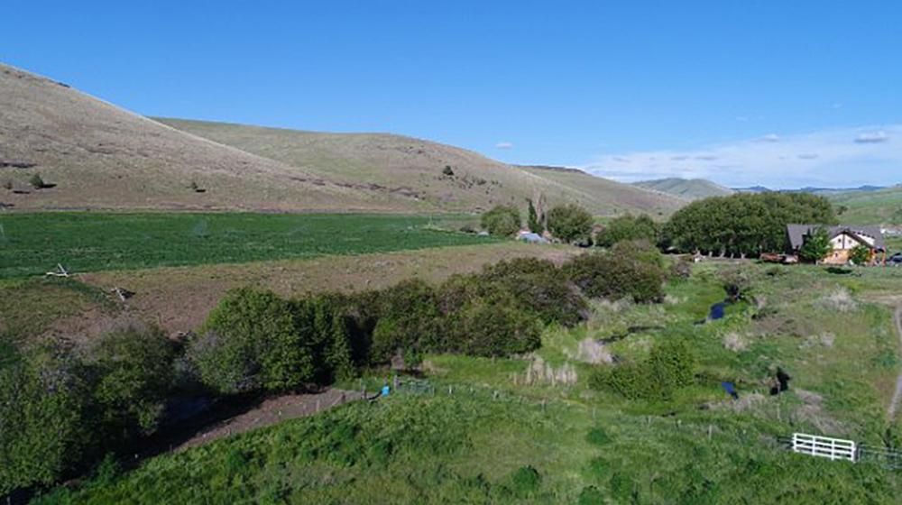 1,258 acres in Heppner, OR, 97836 MLS 02617 Land and Farm