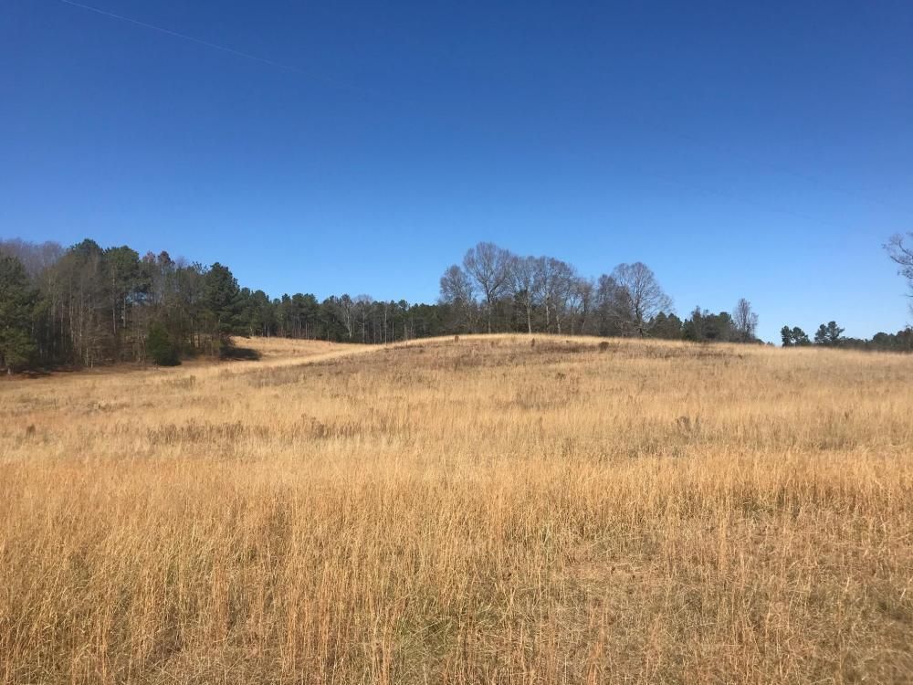 148 Acres, 0 Blaylock Road, Sulligent, AL 35586 Land and Farm